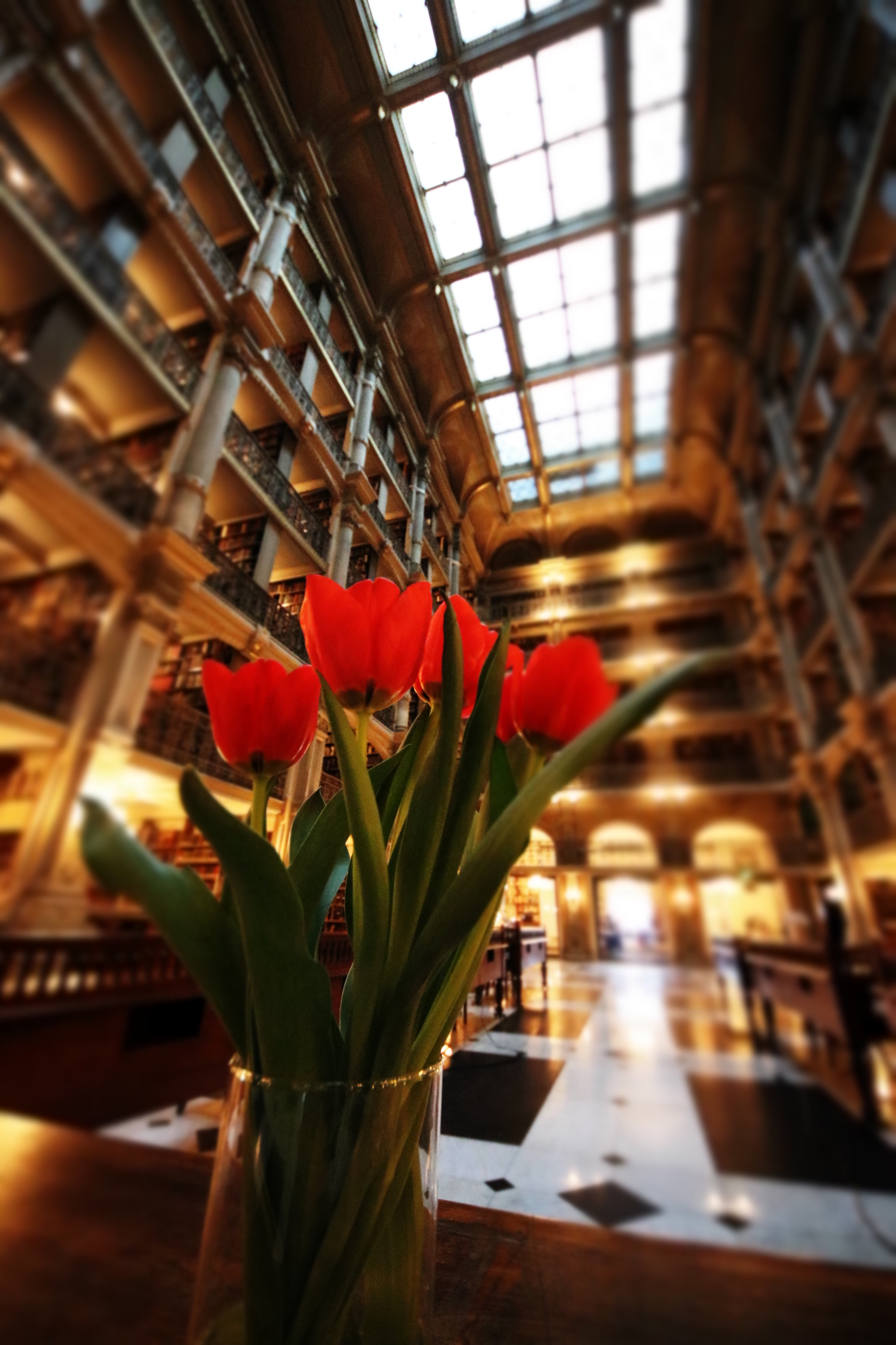 Sigma 8-16mm F4.5-5.6 DC HSM sample photo. Flowers in study photography