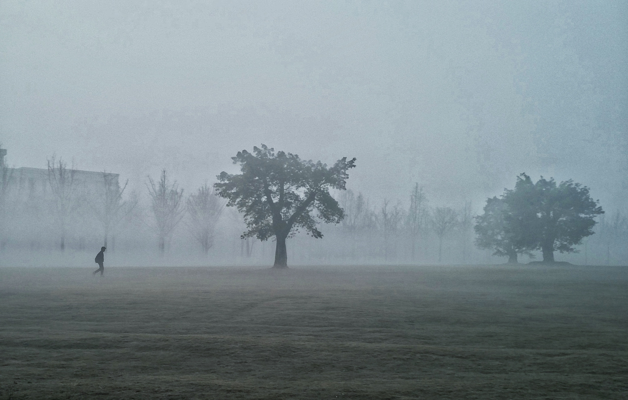 OnePlus ONE A2001 sample photo. Cold winter morning with fog photography