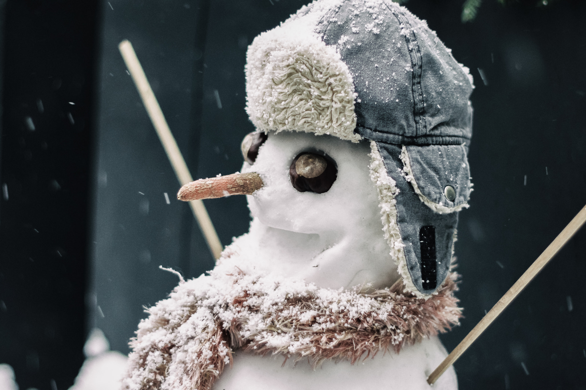 Pentax smc FA 50mm F1.4 sample photo. “snowtime” photography