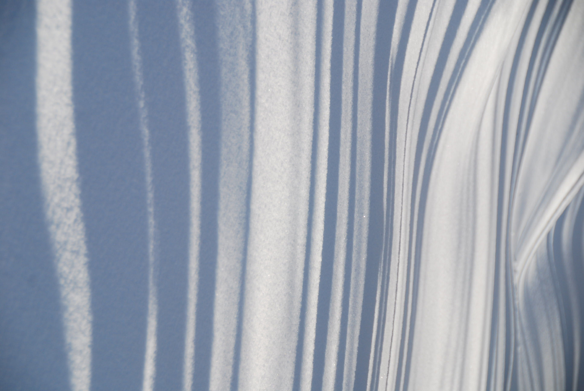Nikon D40X sample photo. Dsc photography
