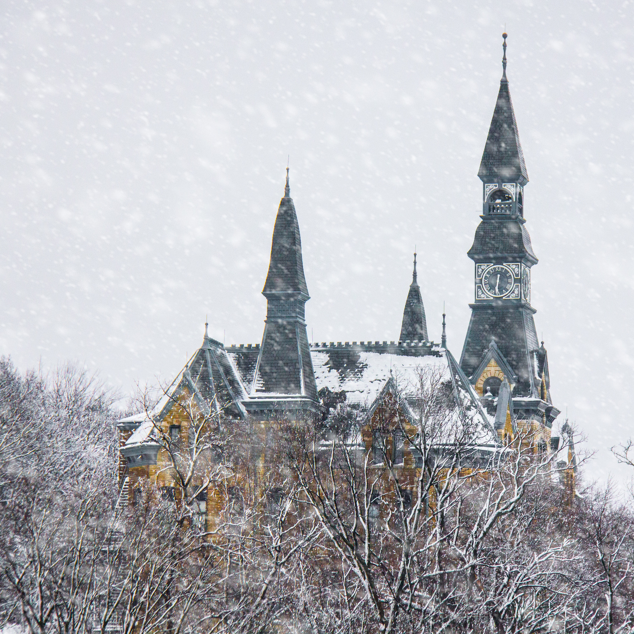 Canon EOS 550D (EOS Rebel T2i / EOS Kiss X4) sample photo. Mckay hall in the snow photography