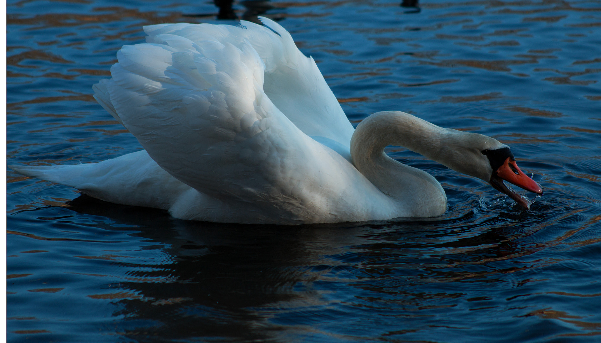 Canon EF 75-300mm f/4-5.6 USM sample photo. A day in the park photography