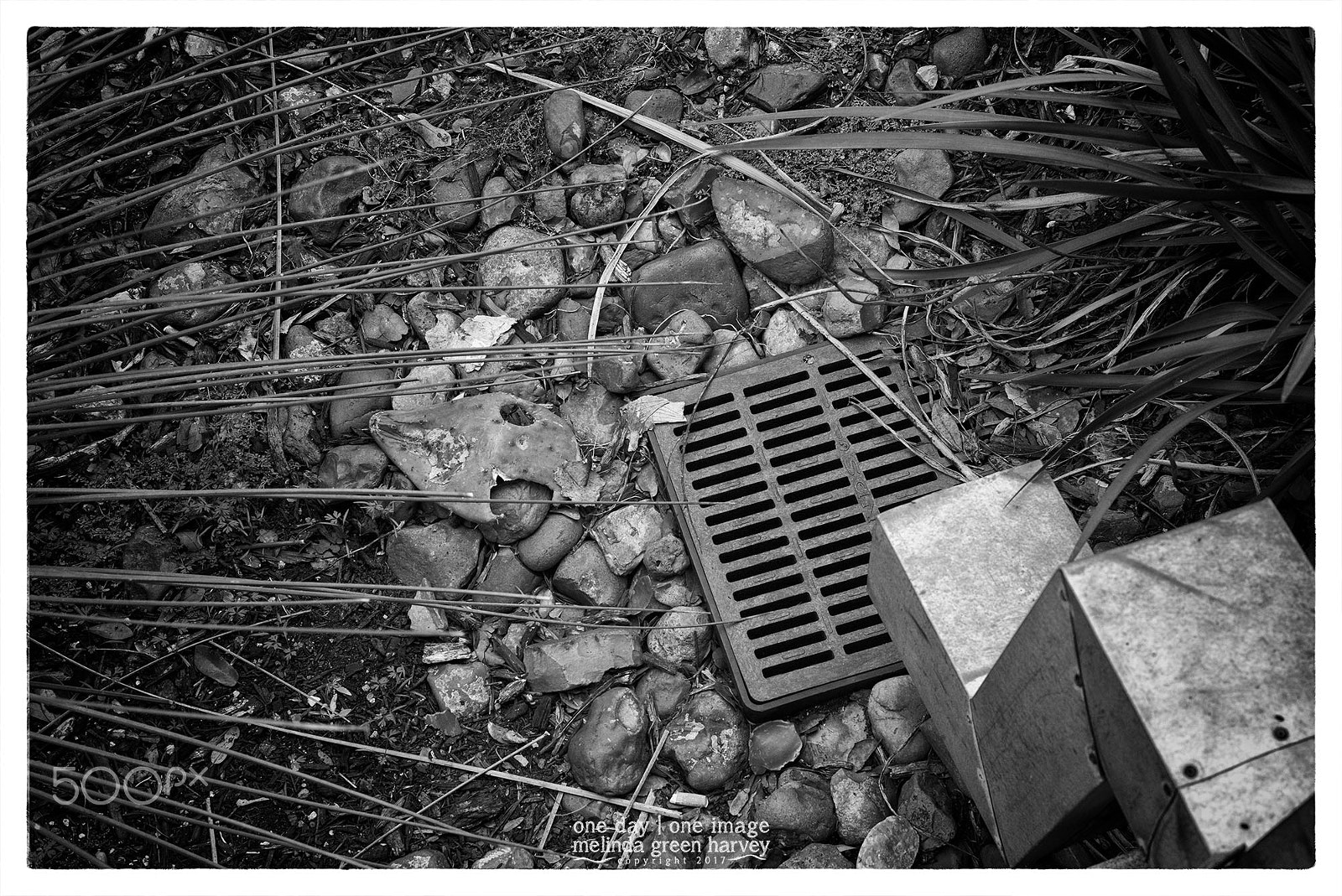 Leica Summarit-M 50mm F2.4 sample photo. Drainage system photography