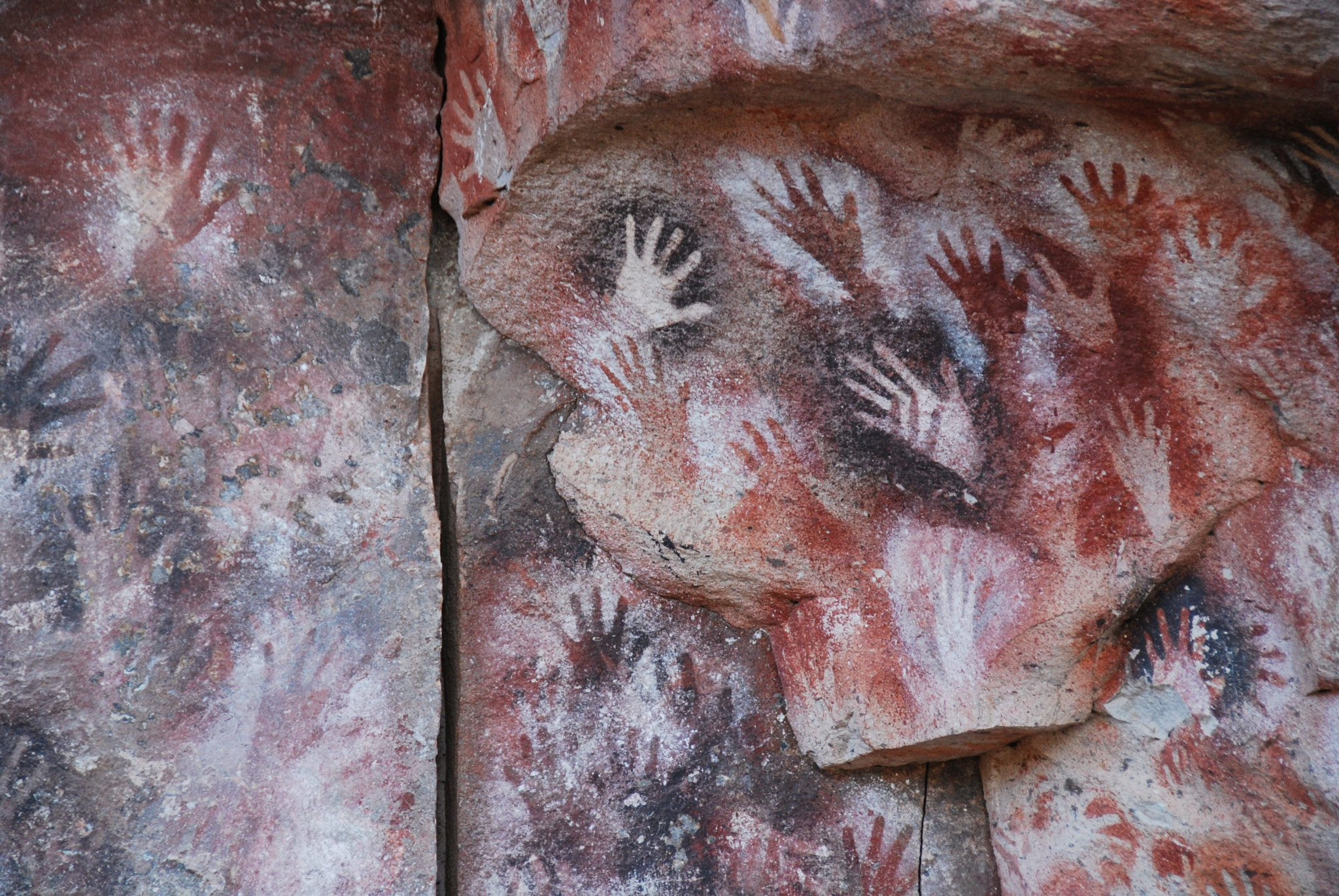 Nikon D40X sample photo. Image photography