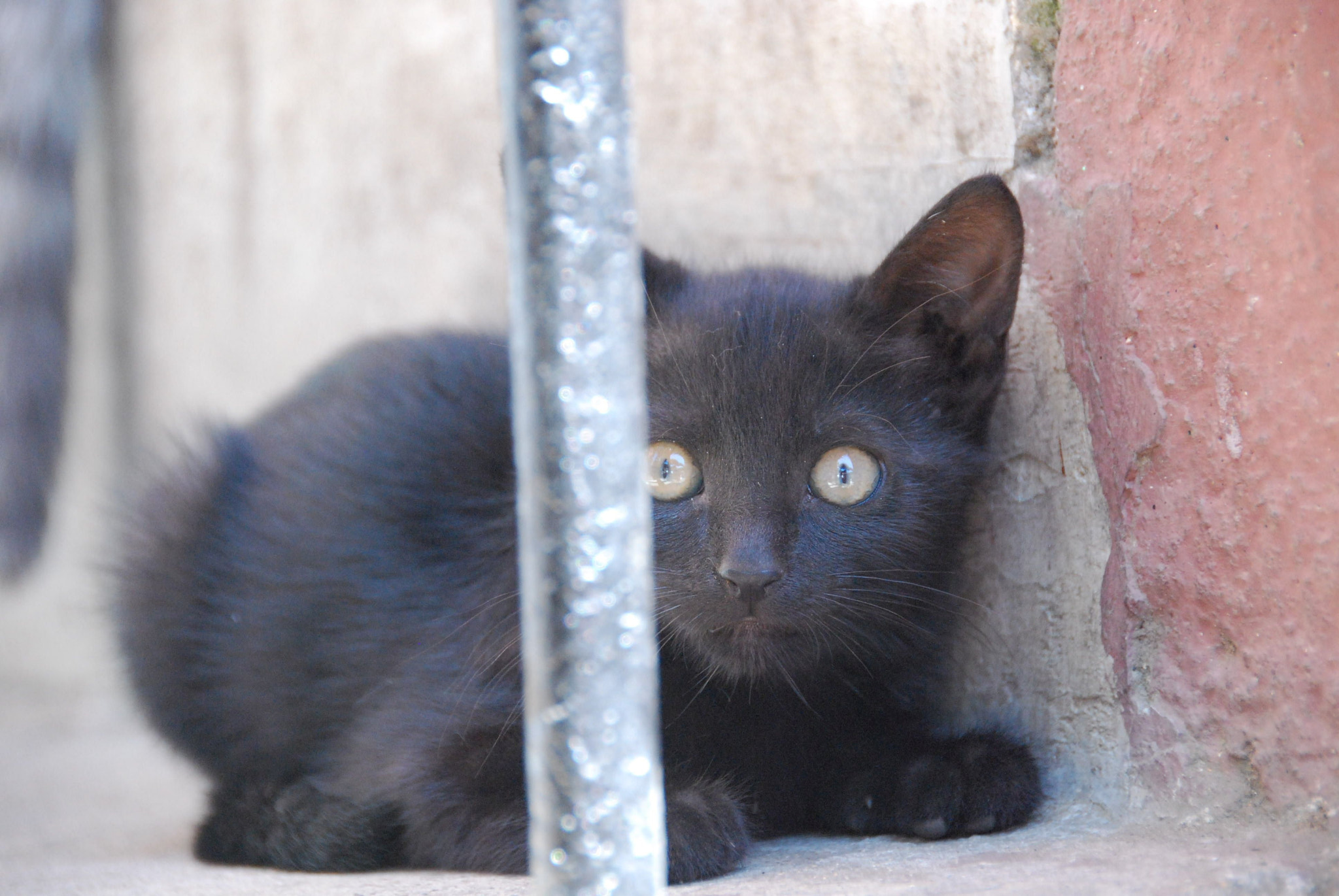 Nikon D40X sample photo. Image photography