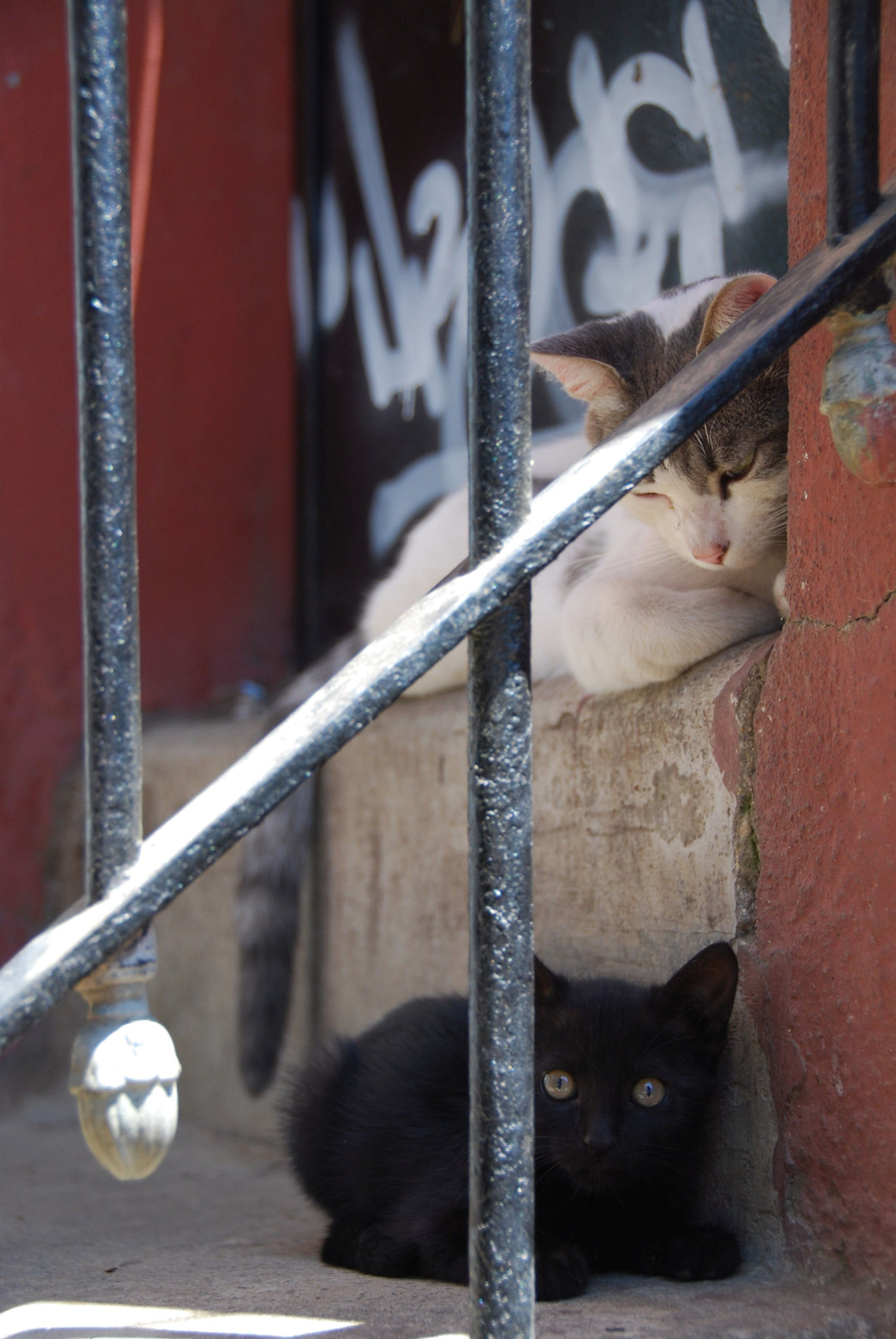 Nikon D40X sample photo. Image photography