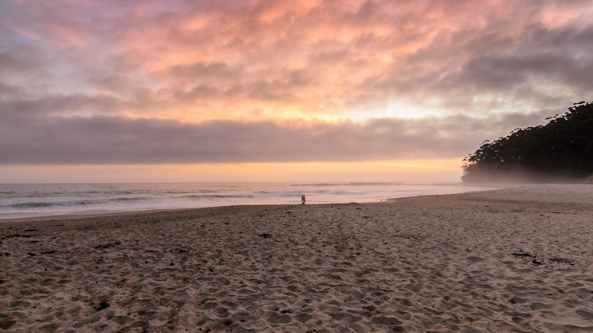 Tokina AT-X Pro 11-16mm F2.8 DX sample photo. Mollymook sunrise photography