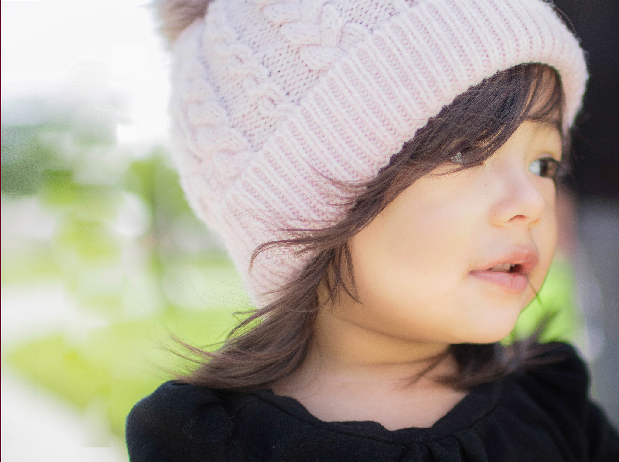 Sigma 30mm F1.4 EX DC HSM sample photo. Aria photography