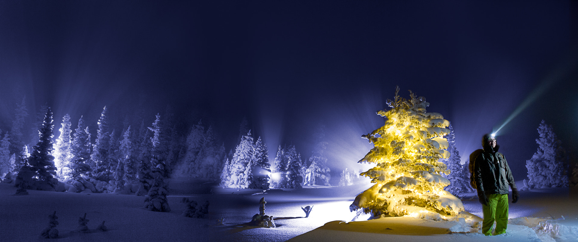 Canon EOS 7D + Canon EF 24mm F2.8 sample photo. The tree photography