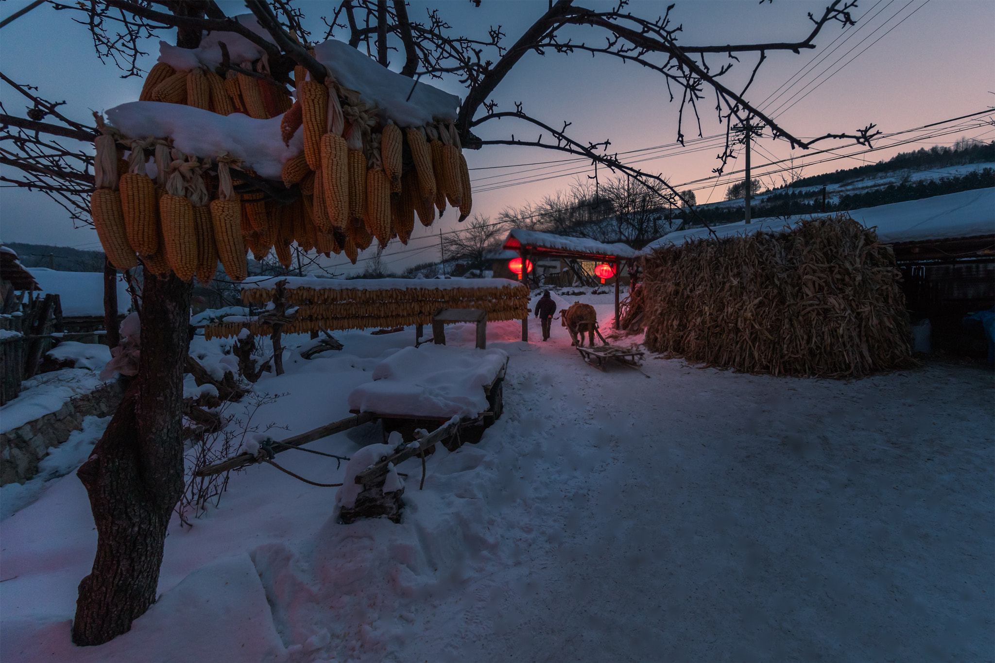Canon EF 11-24mm F4L USM sample photo. 雪村的早晨 photography
