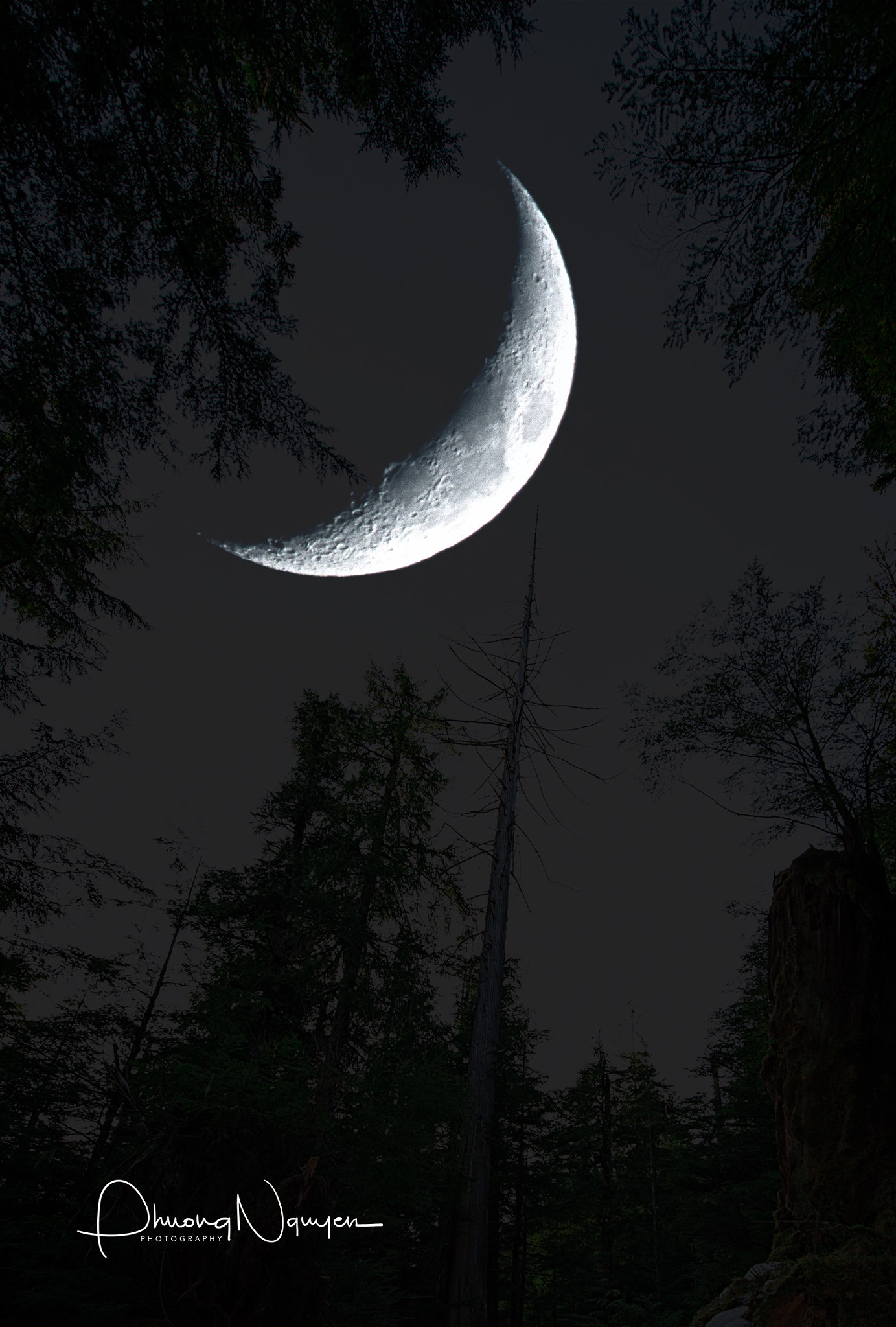 Sigma 150-500mm F5-6.3 DG OS HSM sample photo. Silent night photography