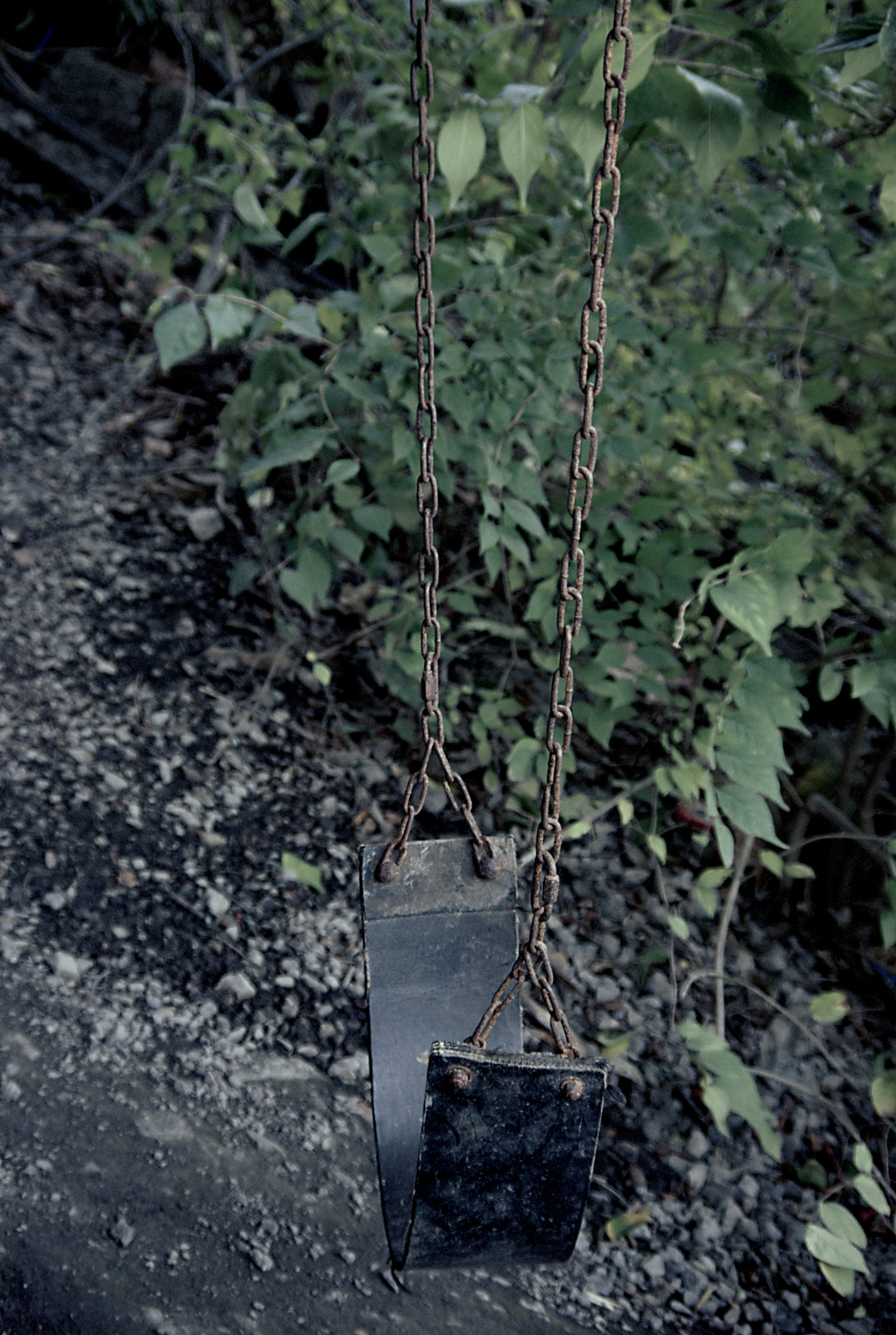 Pentax K200D sample photo. A swing left in nature photography