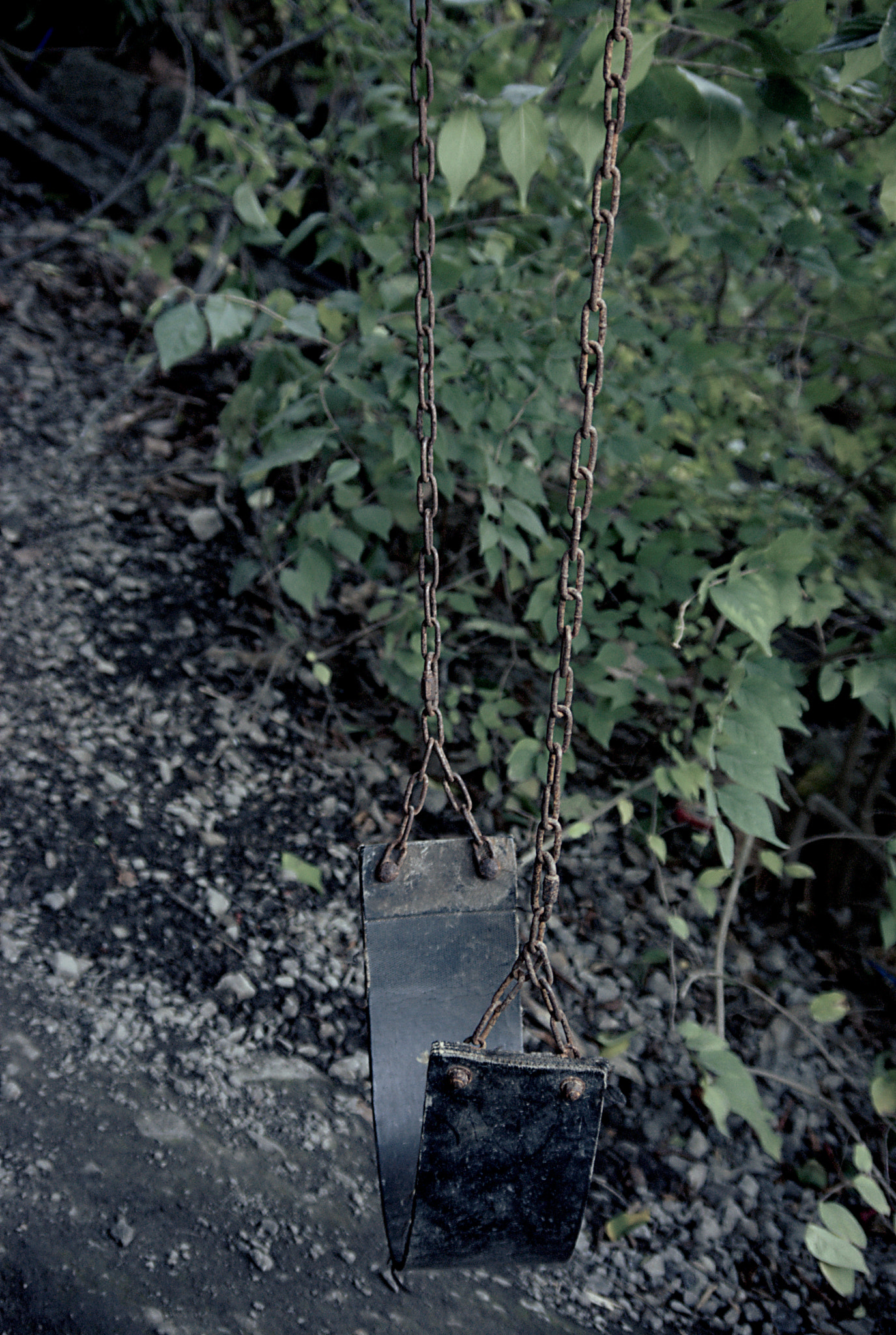 Pentax K200D + Pentax smc DA 50-200mm F4-5.6 ED sample photo. A swing left in nature photography