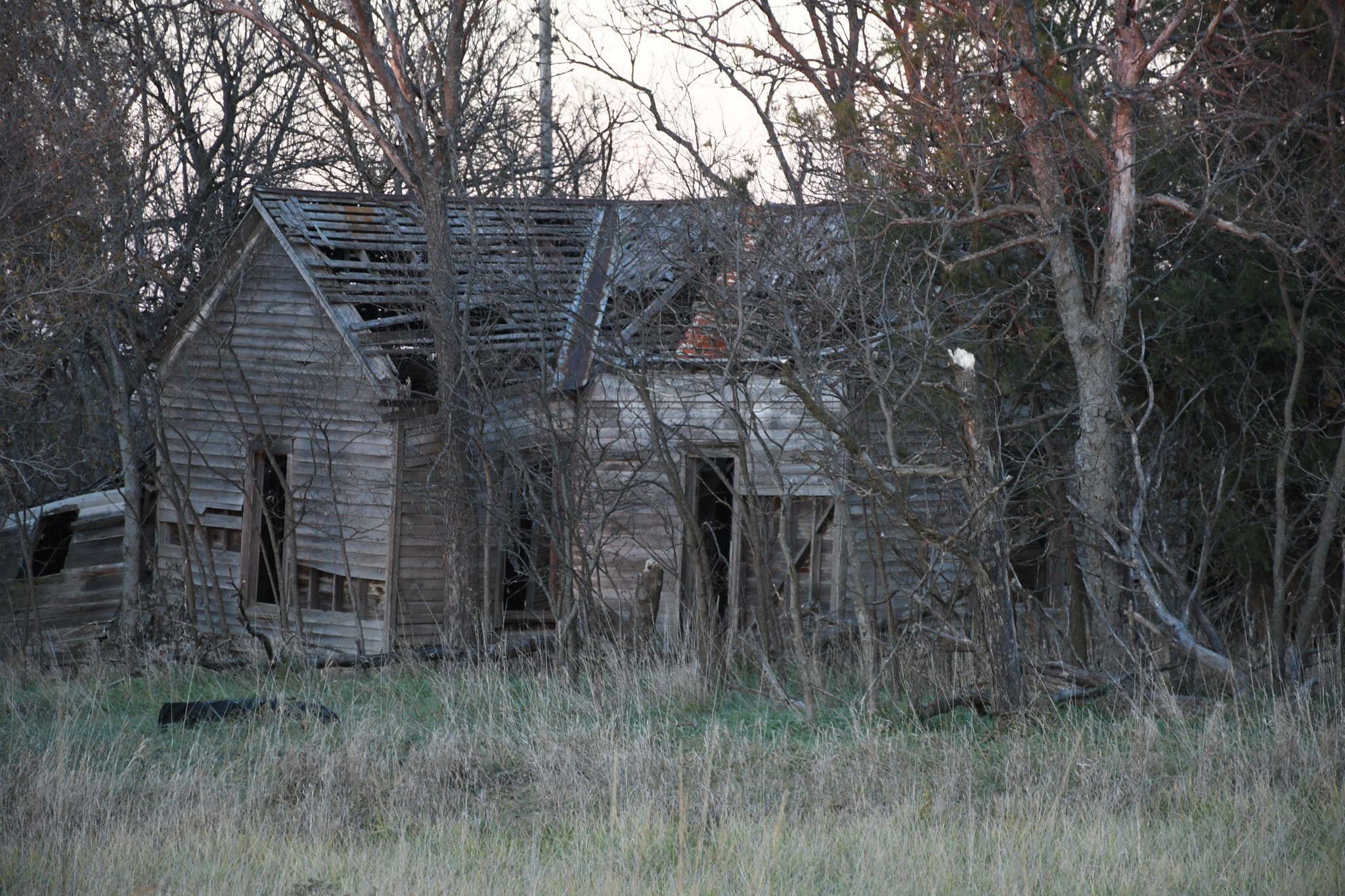 Nikon D500 sample photo. Someone home at one time photography