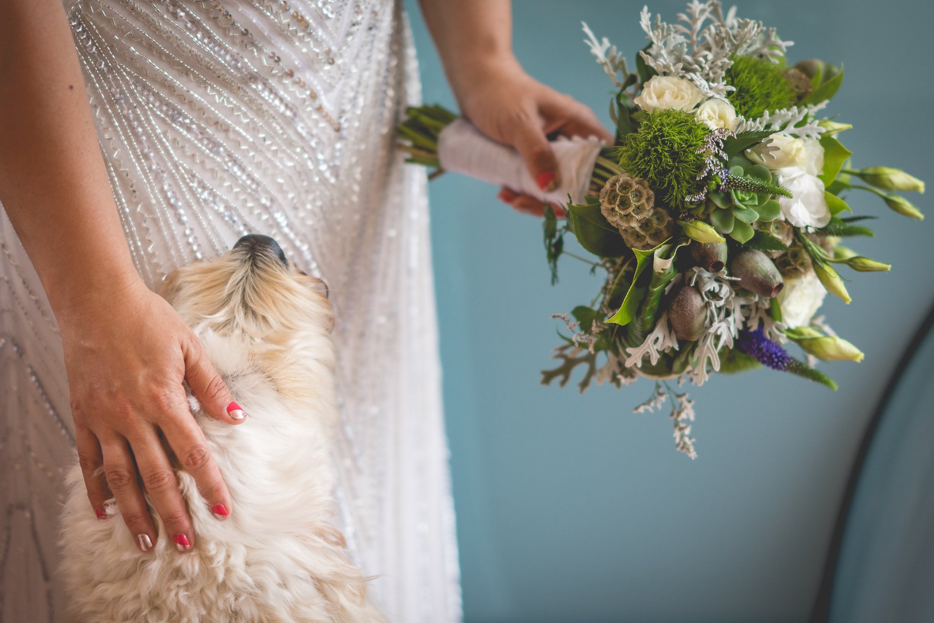 Sony a7R + Sony FE 85mm F1.4 GM sample photo. Lynne & neil photography
