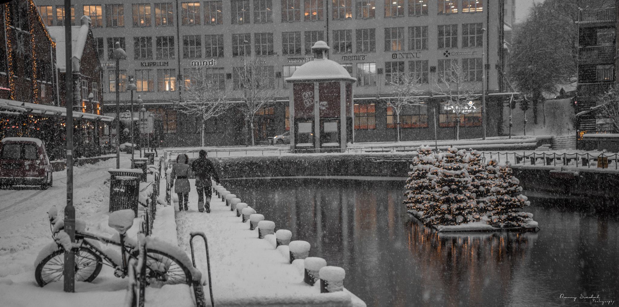 Sigma 24-70mm F2.8 EX DG Macro sample photo. Snow love photography
