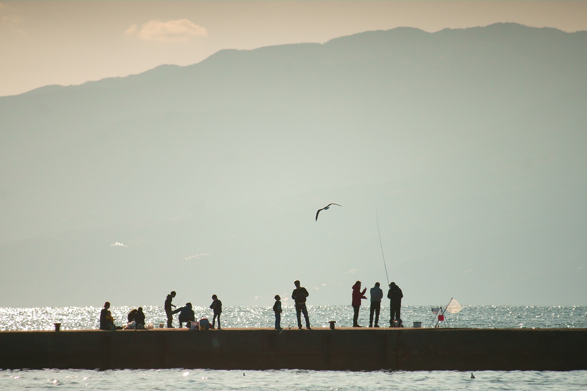 Tamron 18-270mm F3.5-6.3 Di II PZD sample photo. 団らん photography