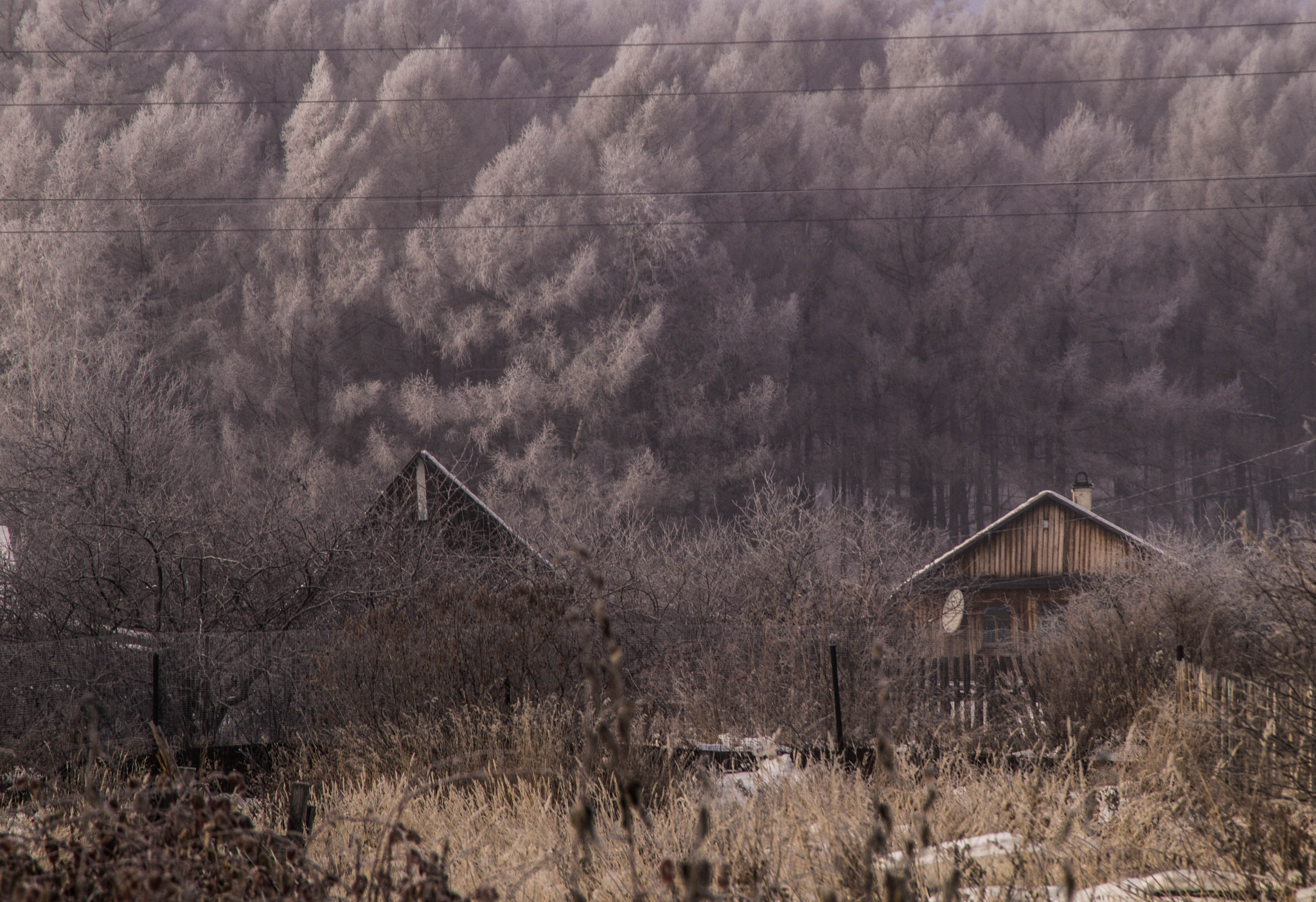 Minolta AF 28-105mm F3.5-4.5 xi sample photo. White army photography