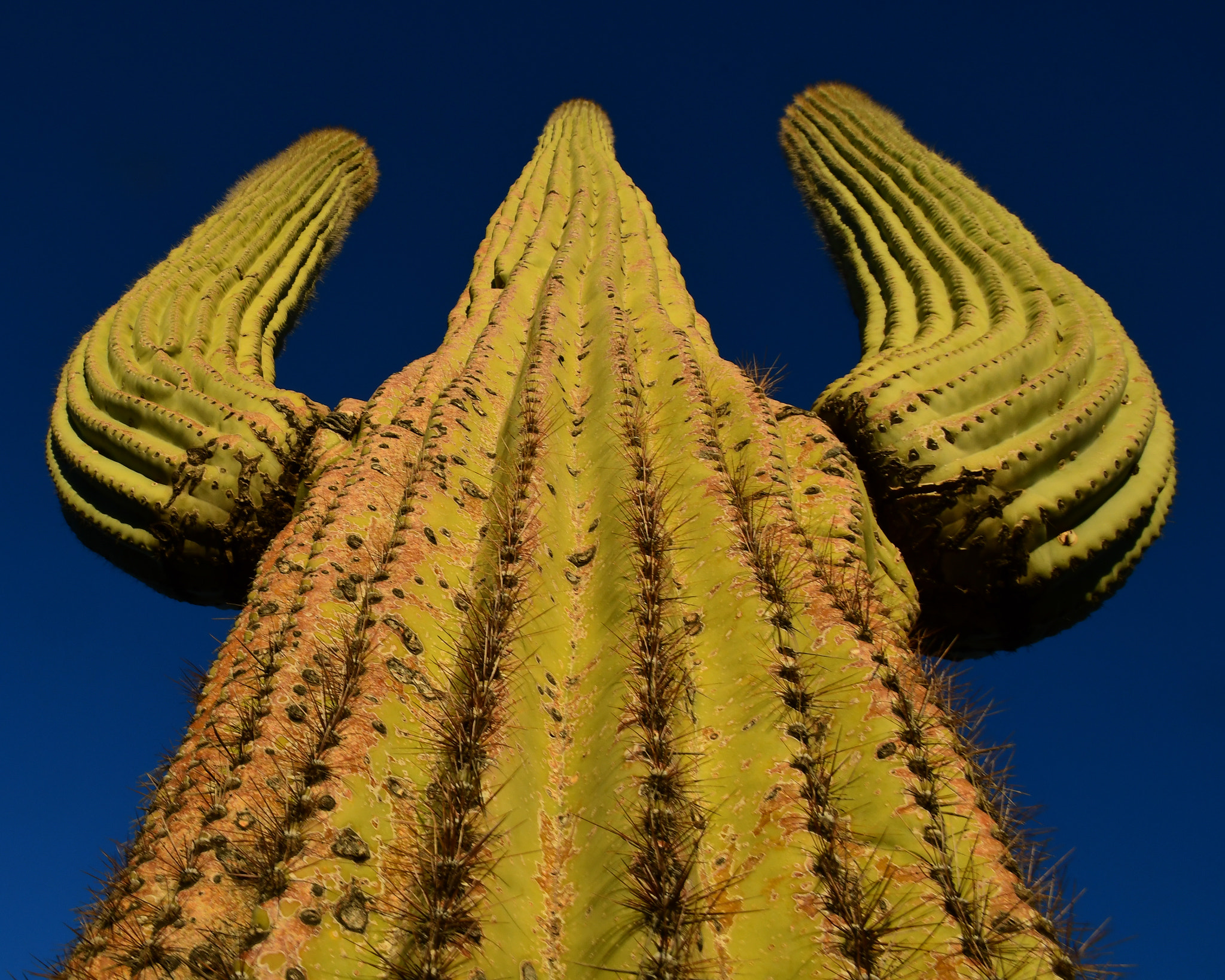 Nikon D500 sample photo. Matter of perspective photography