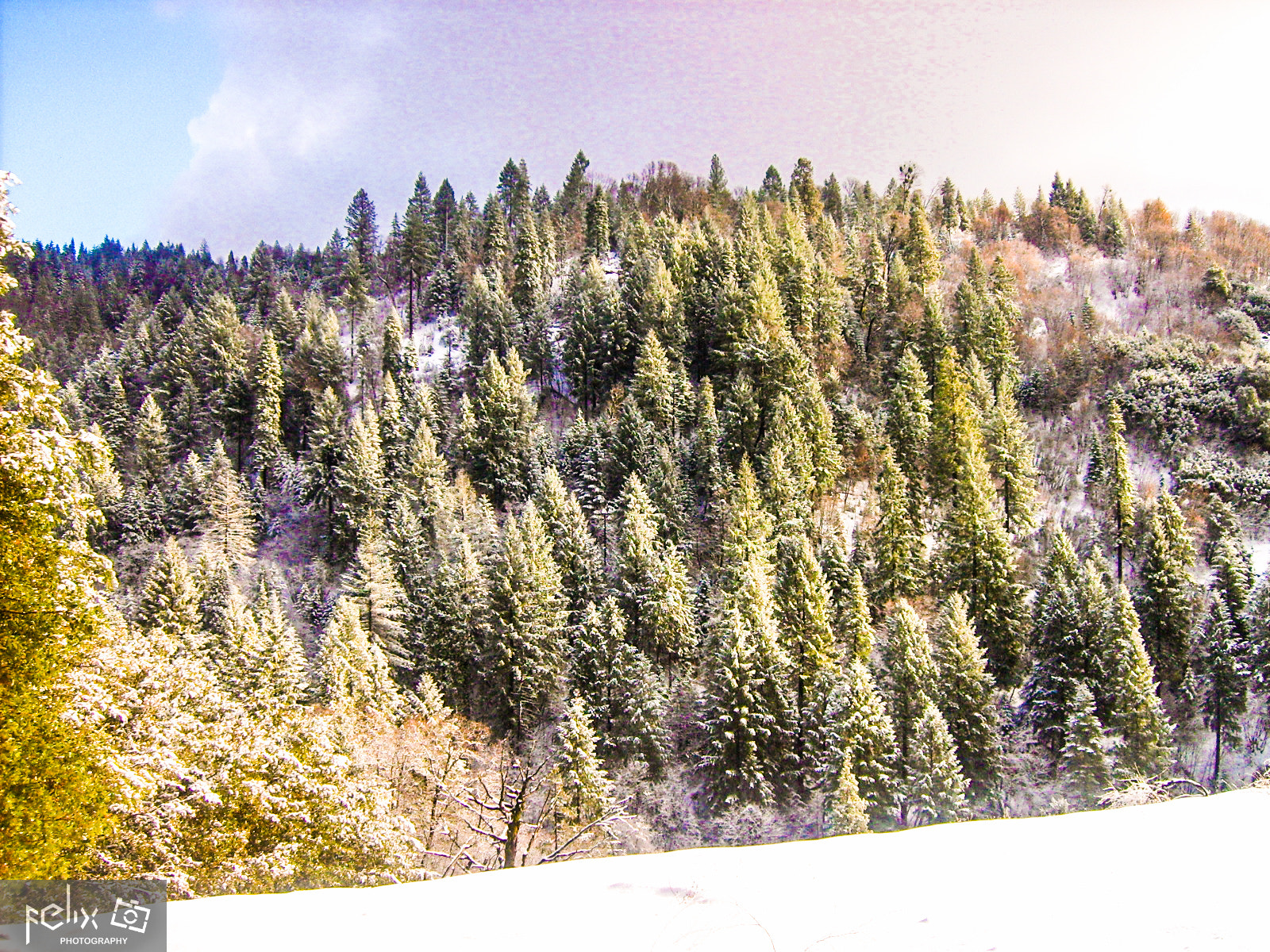 Samsung Digimax S500 / Kenox S500 / Digimax Cyber 530 sample photo. Winter, reno nevada photography