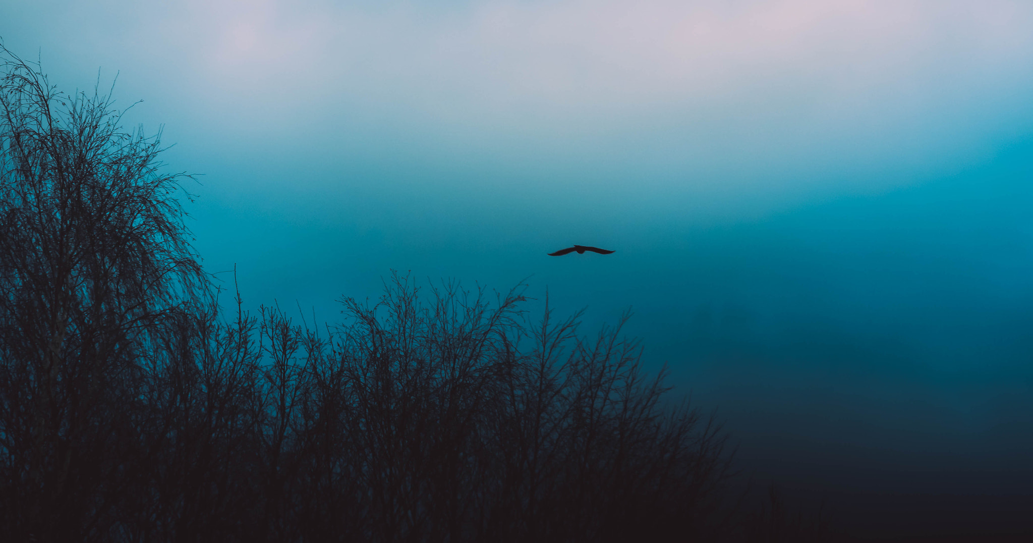 Olympus OM-D E-M1 sample photo. Blue winterevening photography