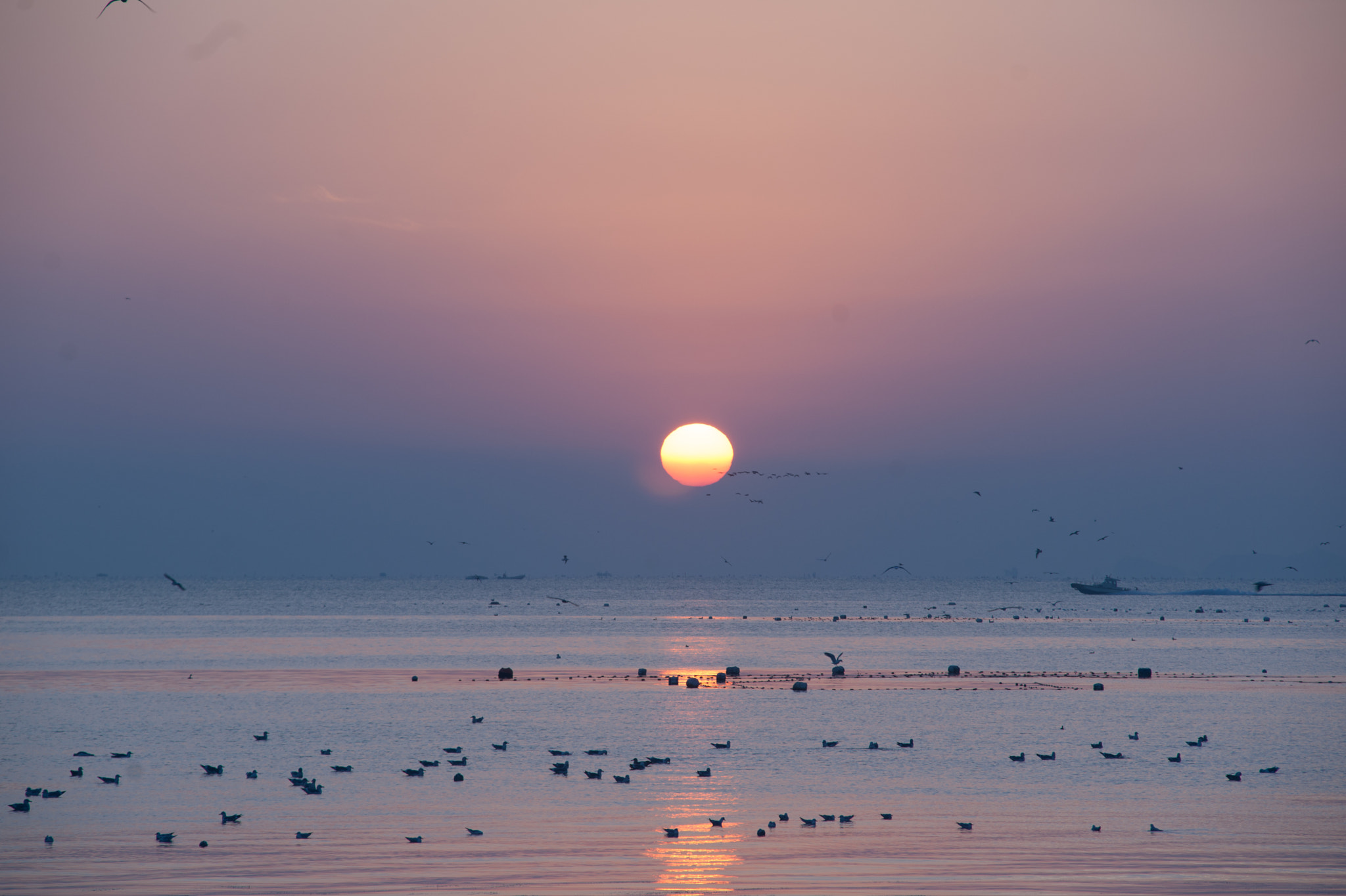 Minolta AF 80-200mm F2.8 HS-APO G sample photo. New years sunrise photography