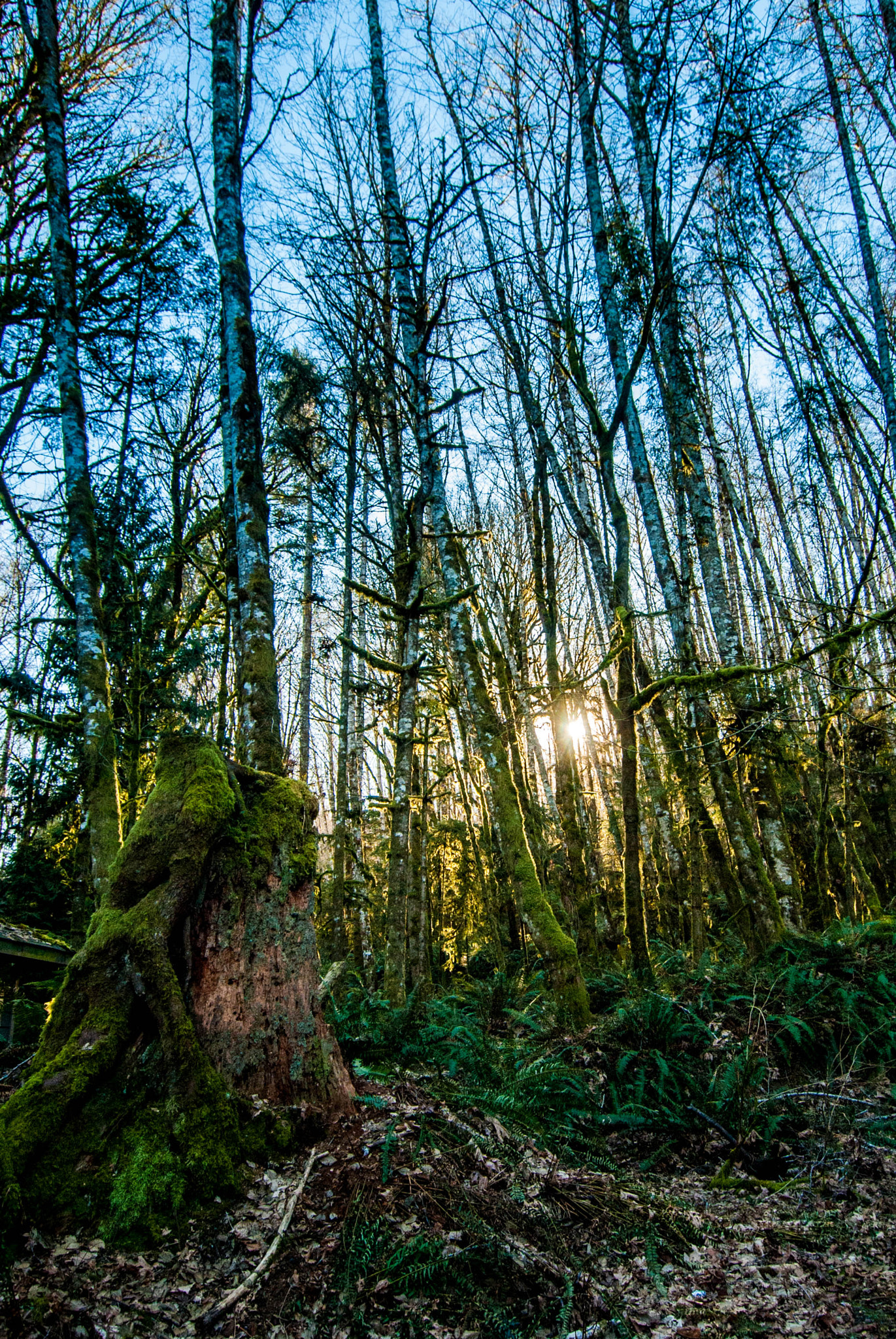 Nikon D60 + Sigma 10-20mm F3.5 EX DC HSM sample photo. Island life photography