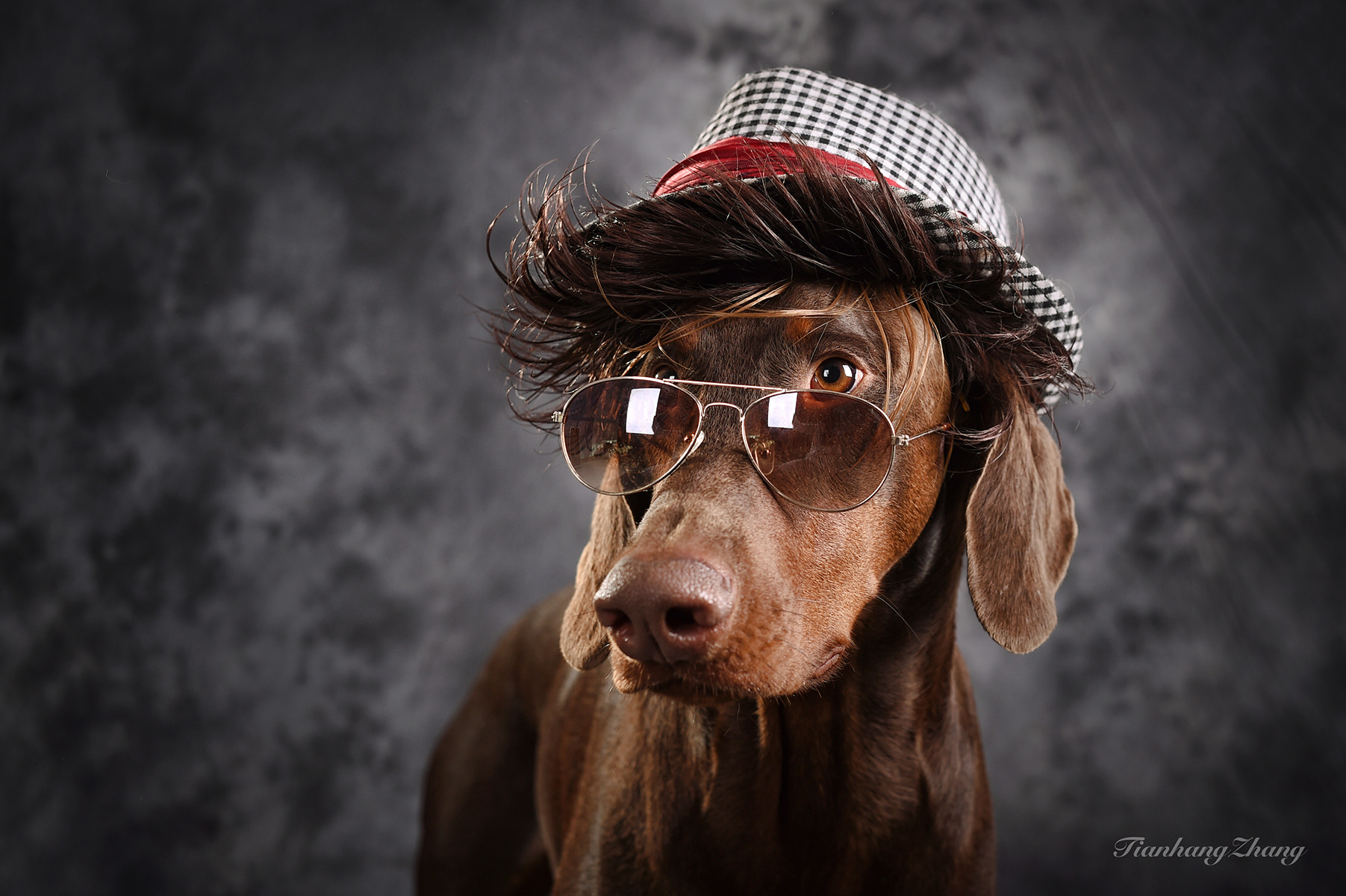 Nikon AF Micro-Nikkor 200mm F4D ED-IF sample photo. Dog photography