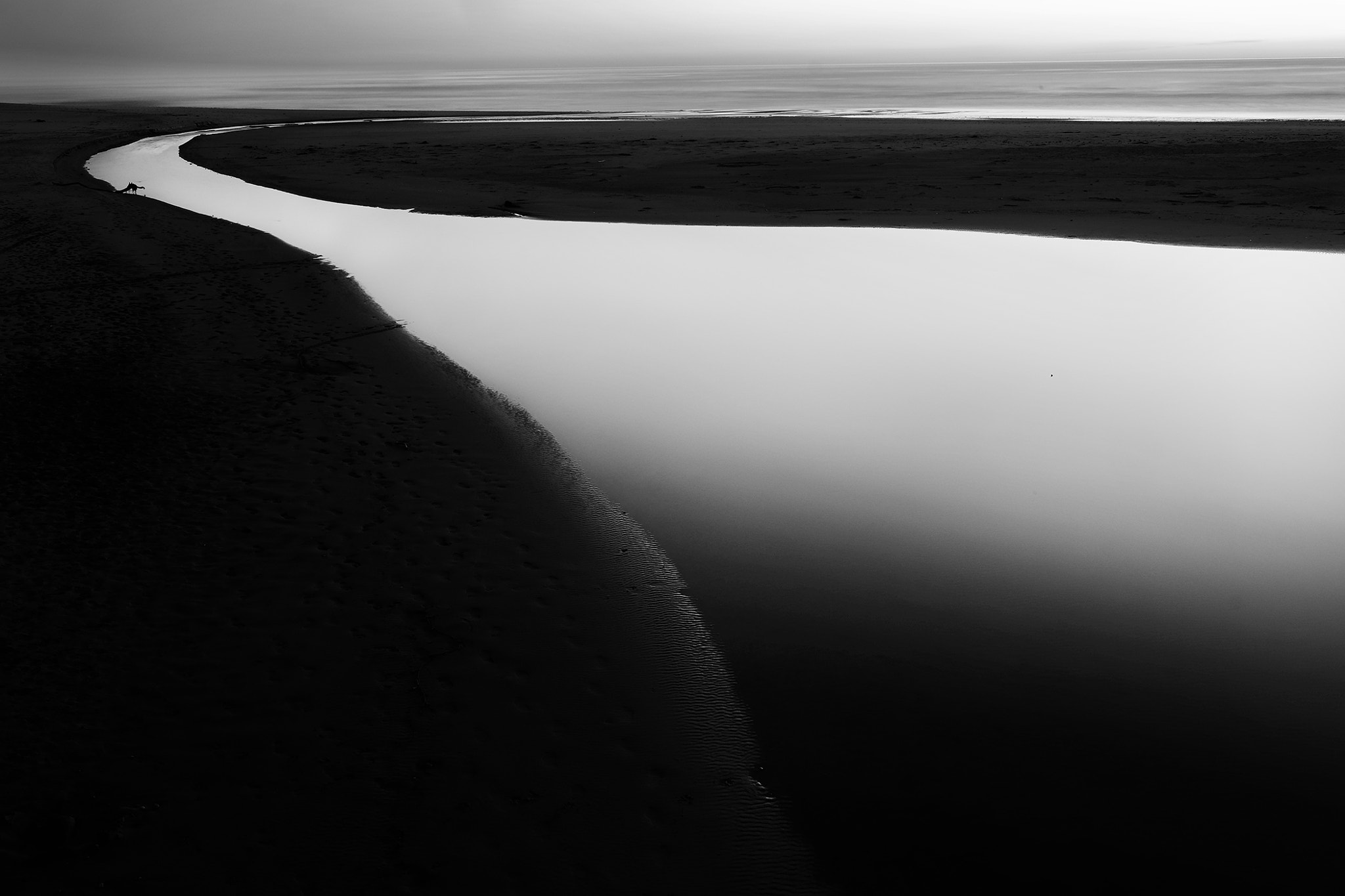 Fujifilm X-E2 + Fujifilm XF 23mm F1.4 R sample photo. Waddell creek photography
