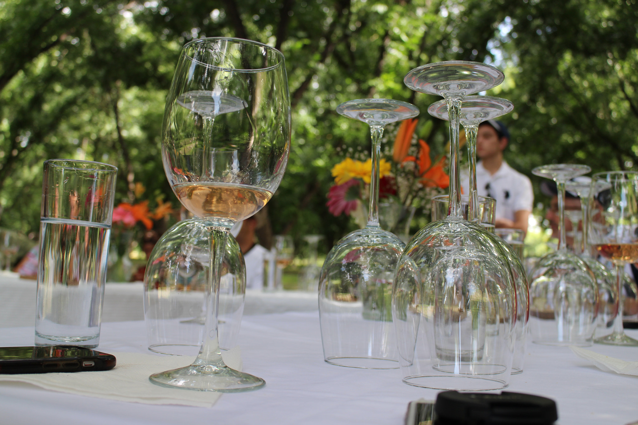 Canon EOS M2 sample photo. Vine tasting photography
