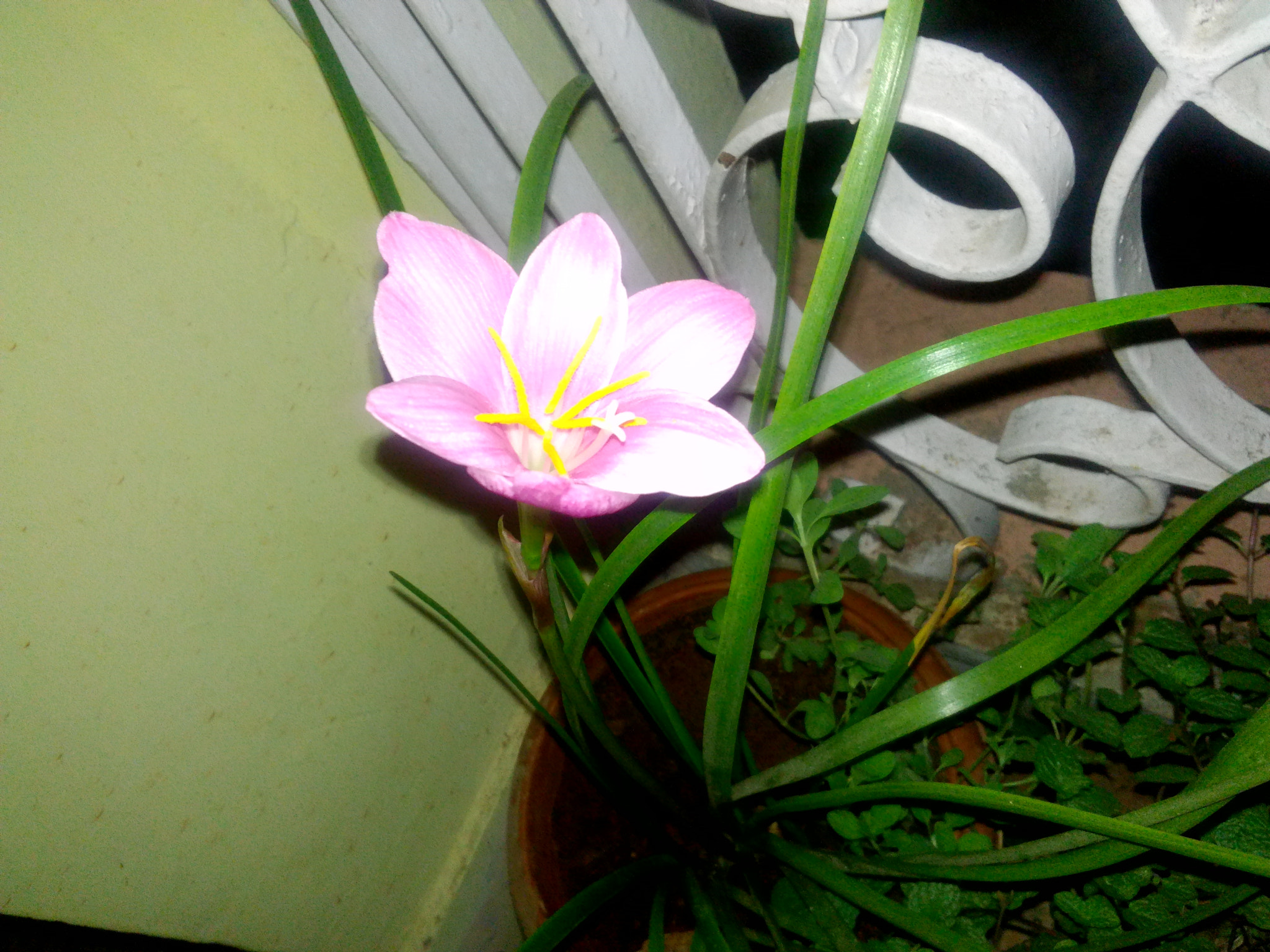 HUAWEI Y541-U02 sample photo