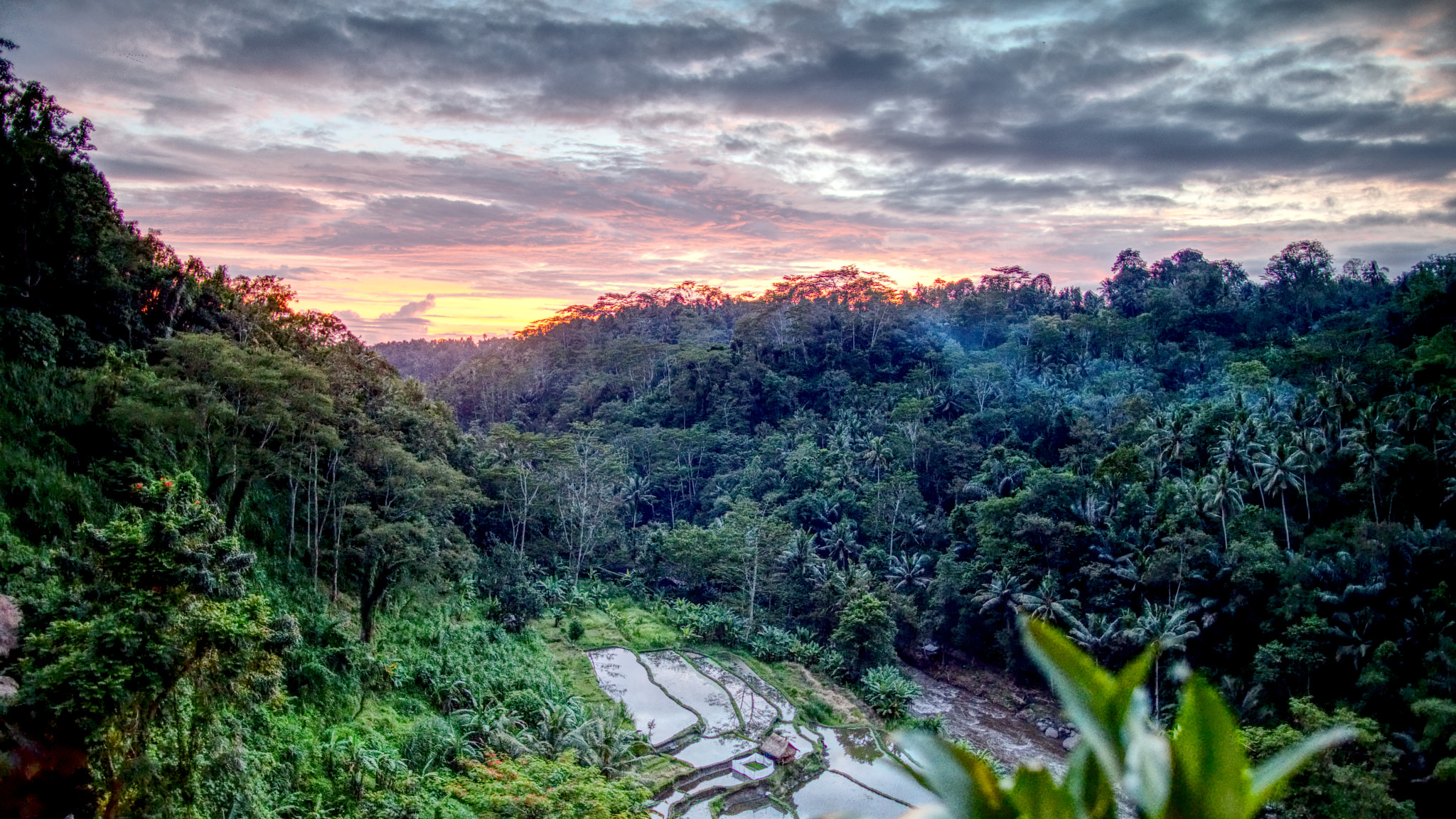 Canon EF 24mm F1.4L II USM sample photo. Ubud photography