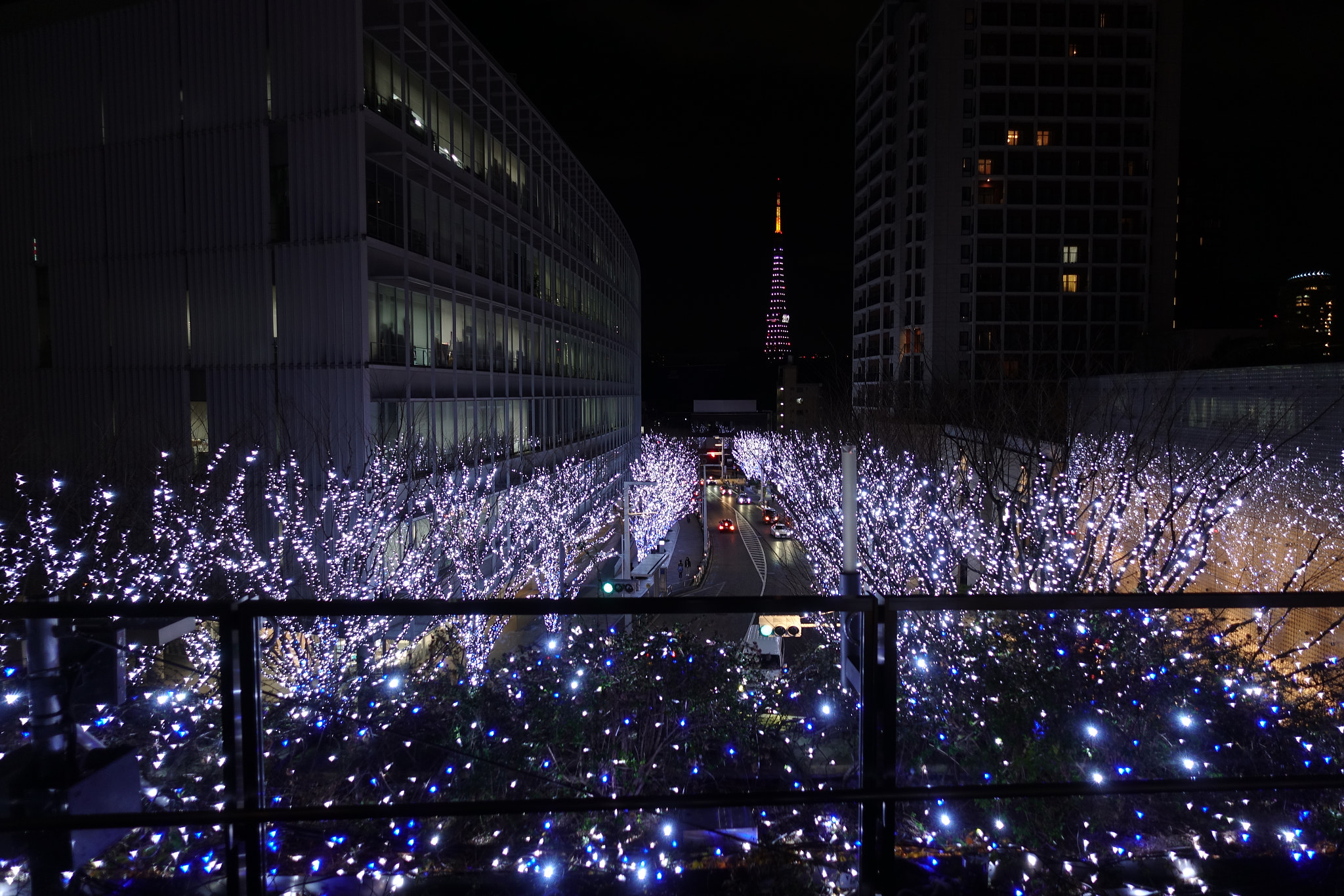 Minolta AF 28-85mm F3.5-4.5 New sample photo. Roppongi winter blues photography