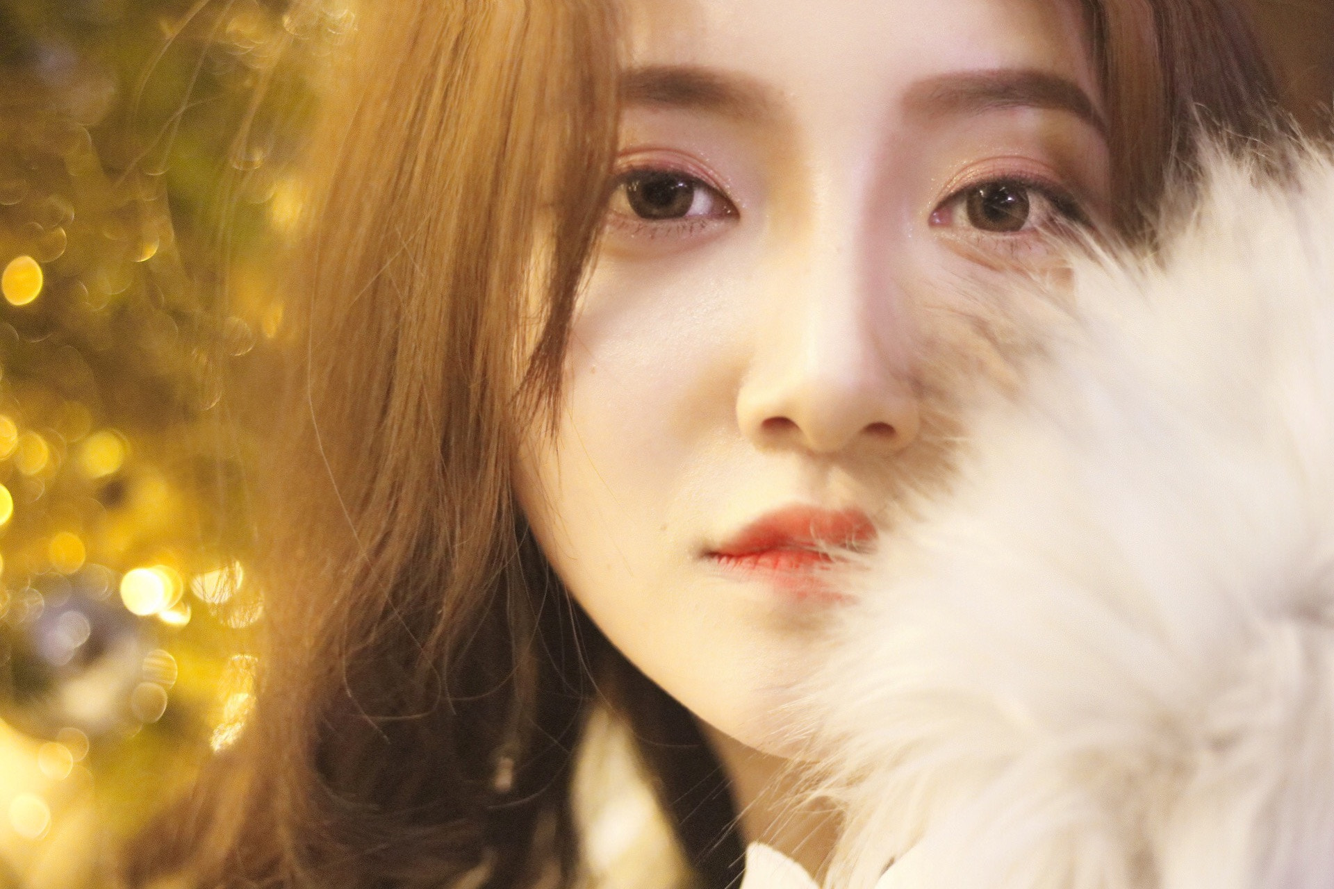 Canon EF 50mm F1.8 II sample photo. Huan. photography