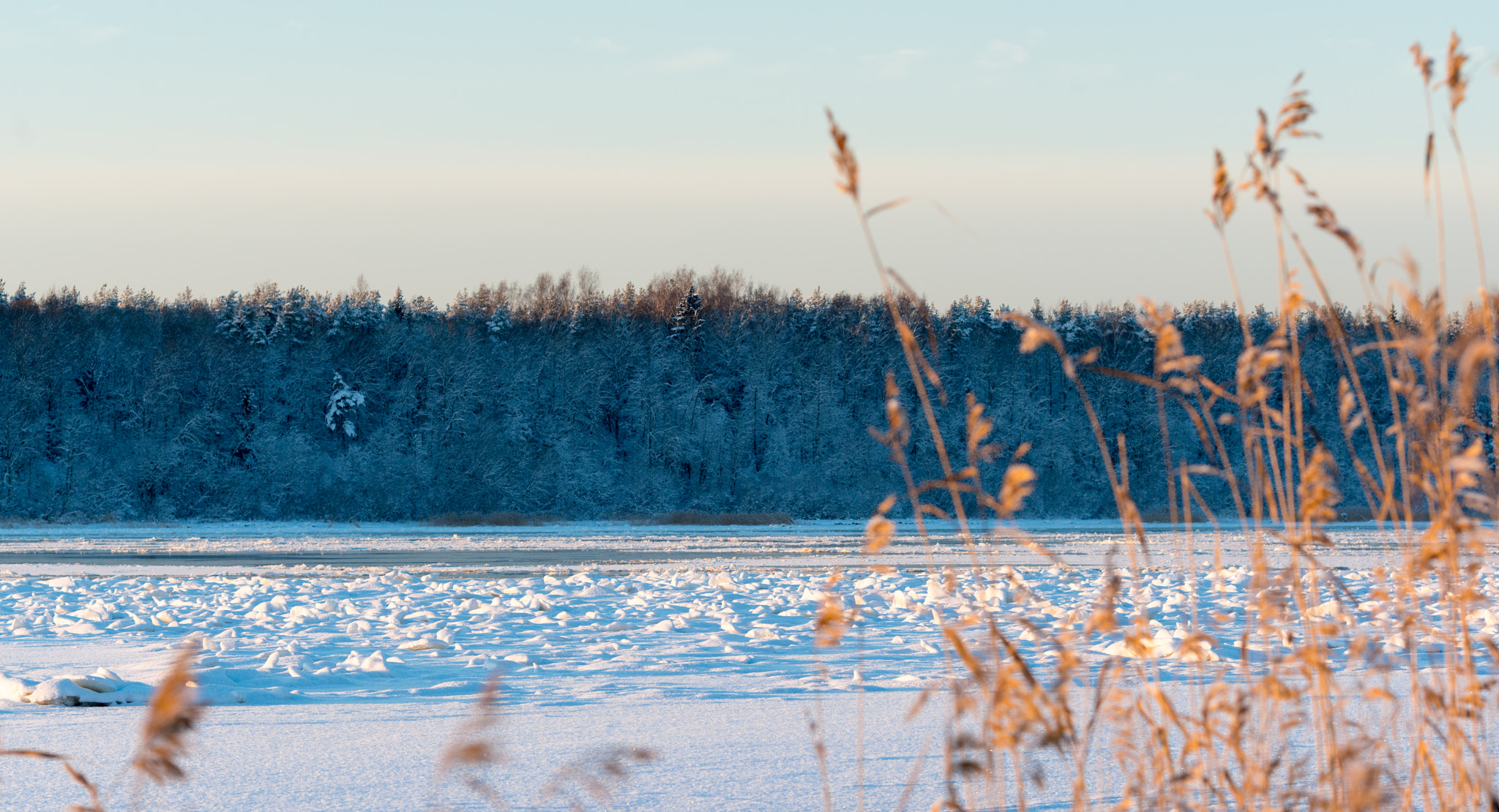 Sony a7R II + Canon EF 135mm F2L USM sample photo. ** photography