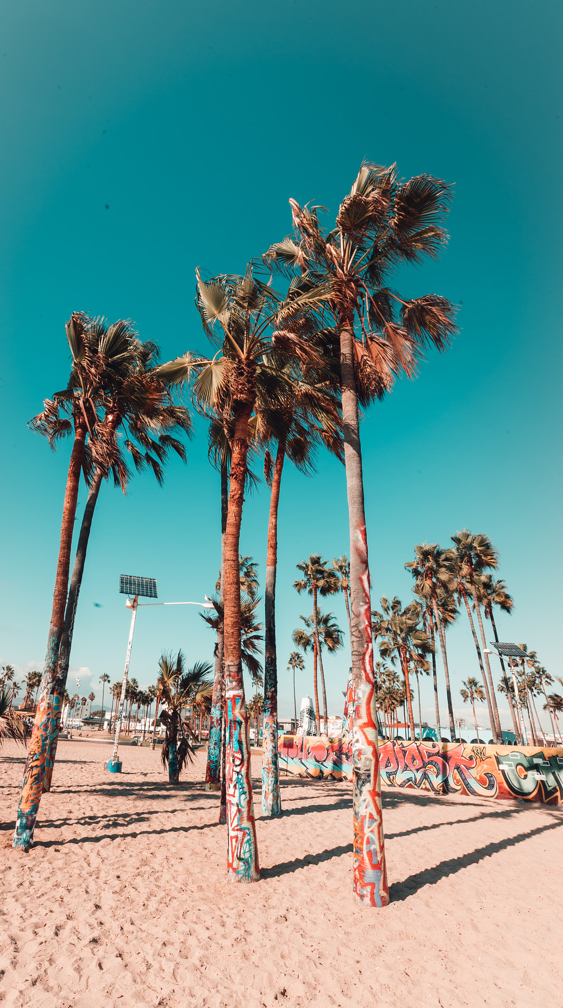 Sony a7S II + Canon EF 16-35mm F2.8L II USM sample photo. Venice photography