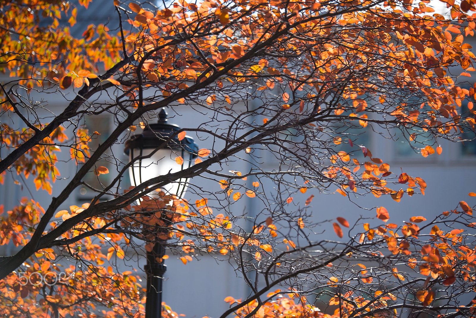 Tamron SP 70-200mm F2.8 Di VC USD sample photo. Battery park in manhattan photography