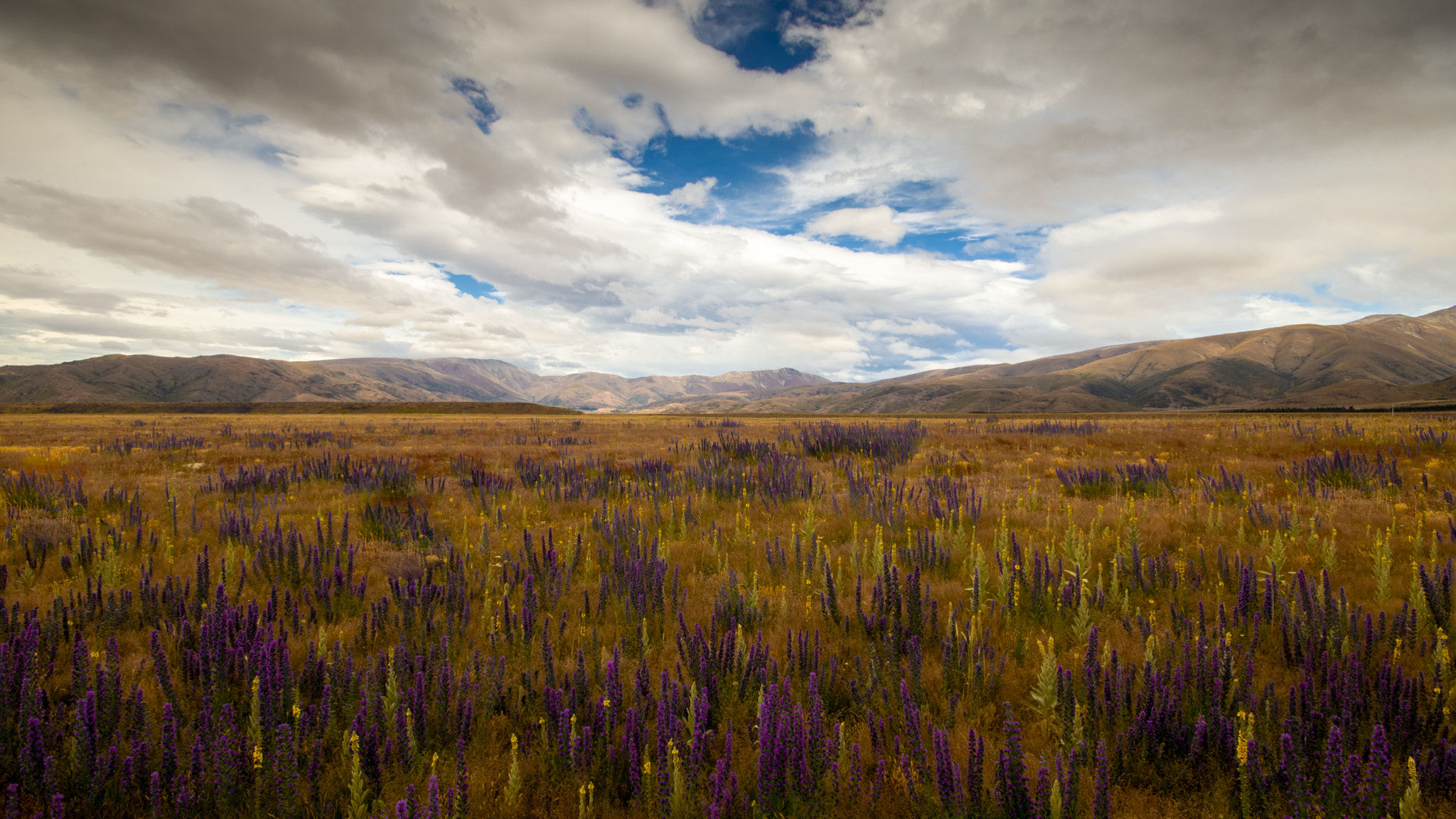 Canon EOS 80D + Sigma 10-20mm F4-5.6 EX DC HSM sample photo. Lindis pass  photography