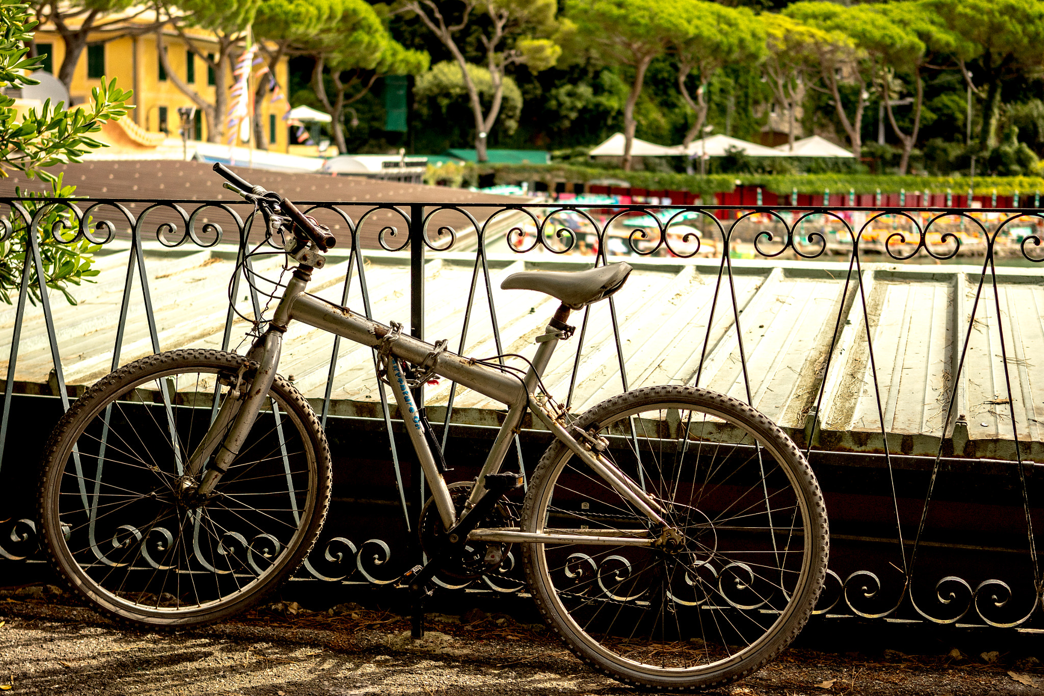Sony a7R + Sony Sonnar T* FE 35mm F2.8 ZA sample photo. Rustybikedsc photography