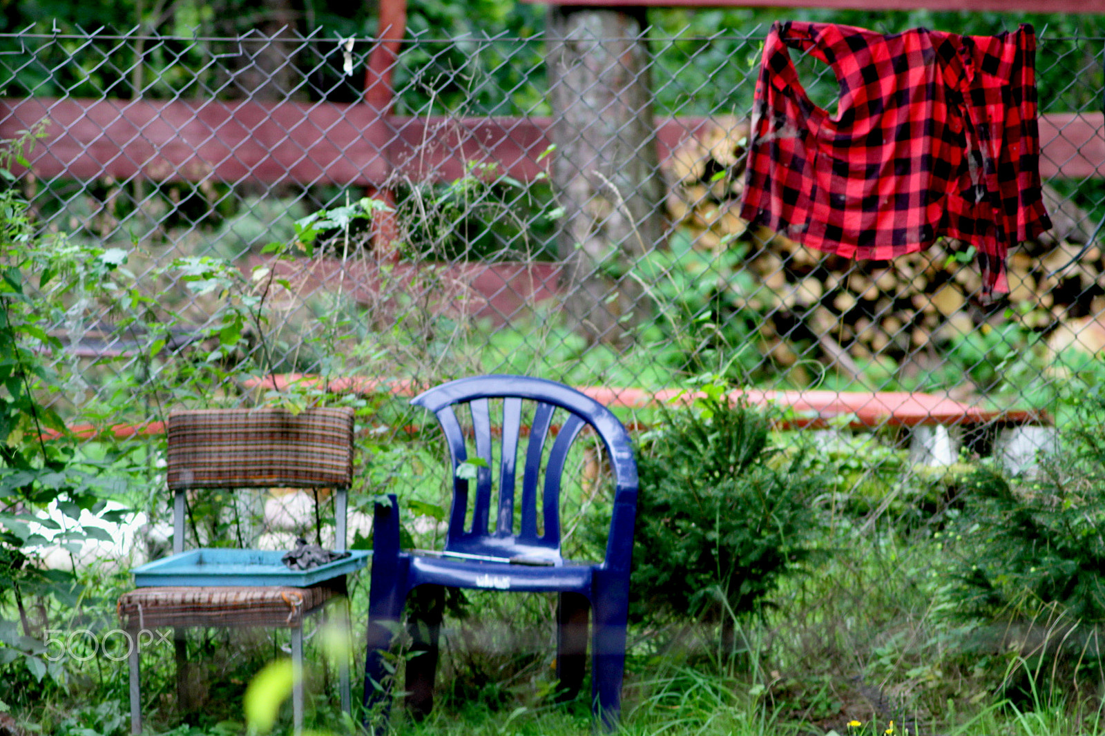 Canon EF 35-80mm f/4-5.6 sample photo. Where is the lumberjack? photography