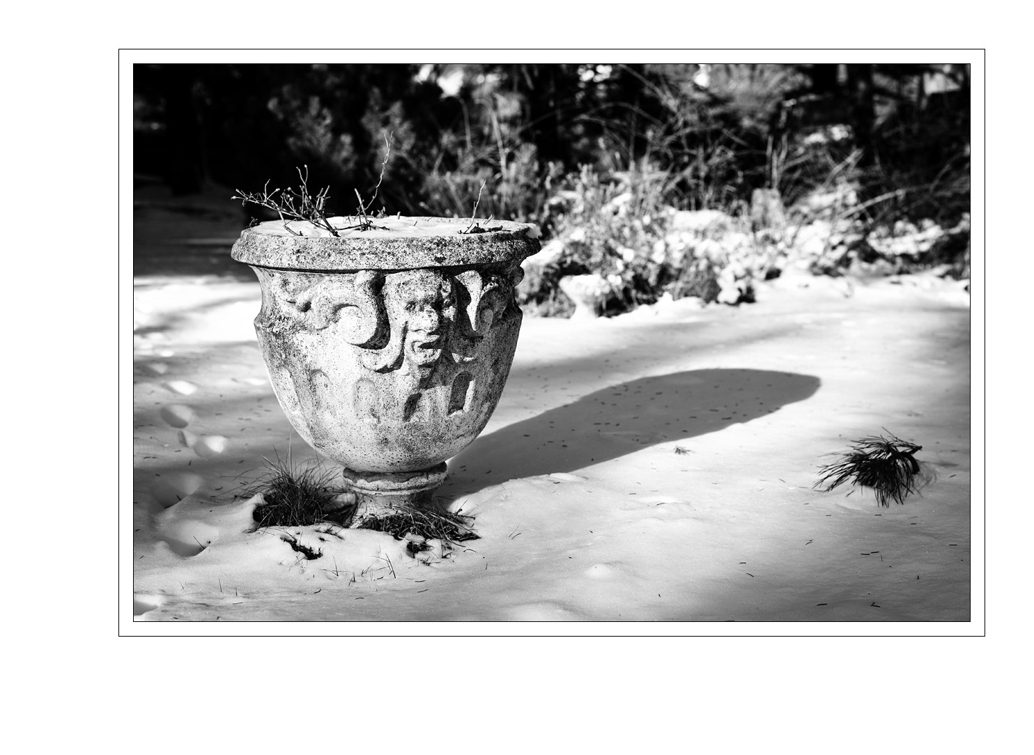 Nikon D5 sample photo. Pottery photography