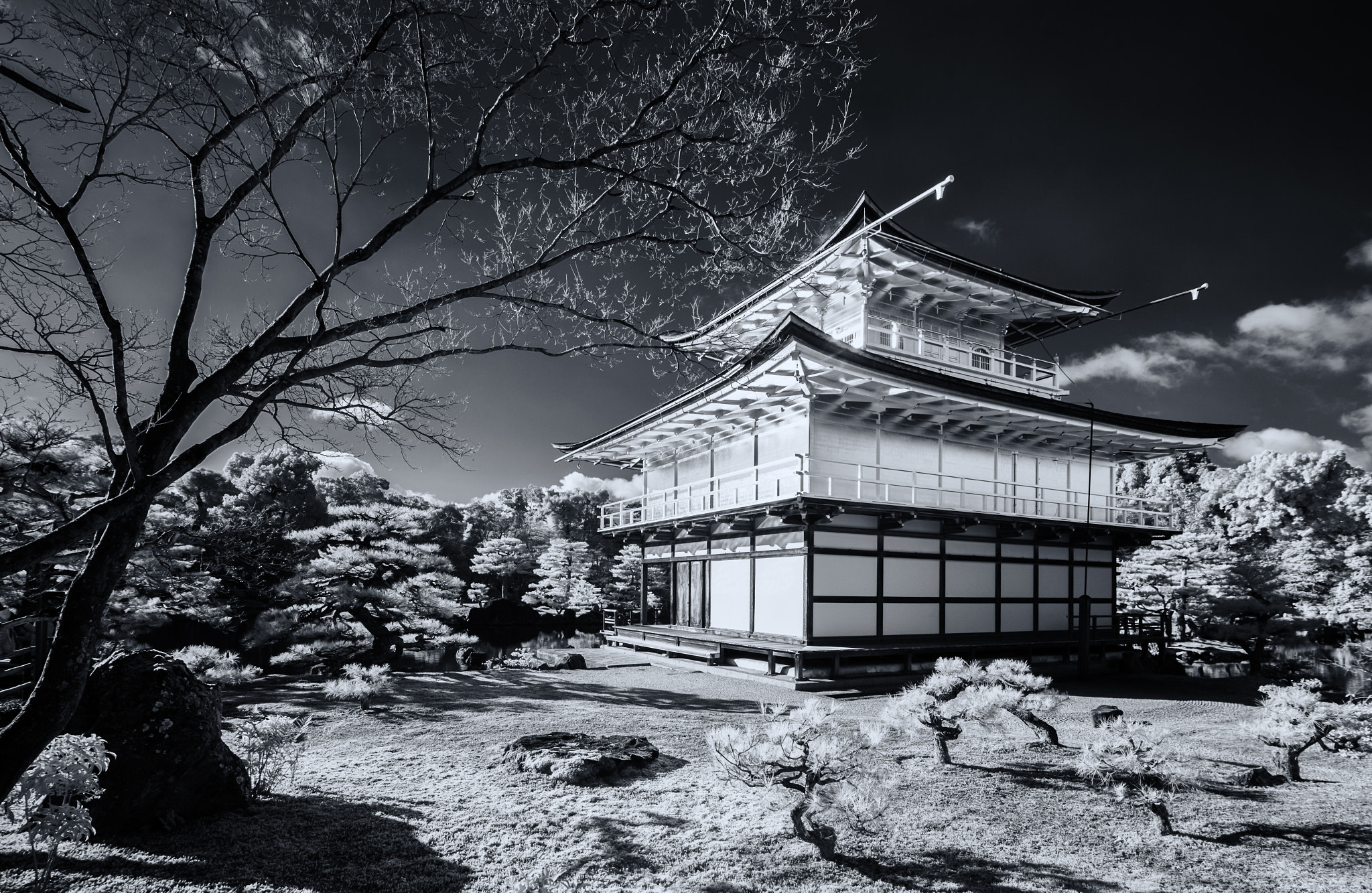Canon TS-E 17mm F4L Tilt-Shift sample photo. Kinkaku ji 金閣寺 photography
