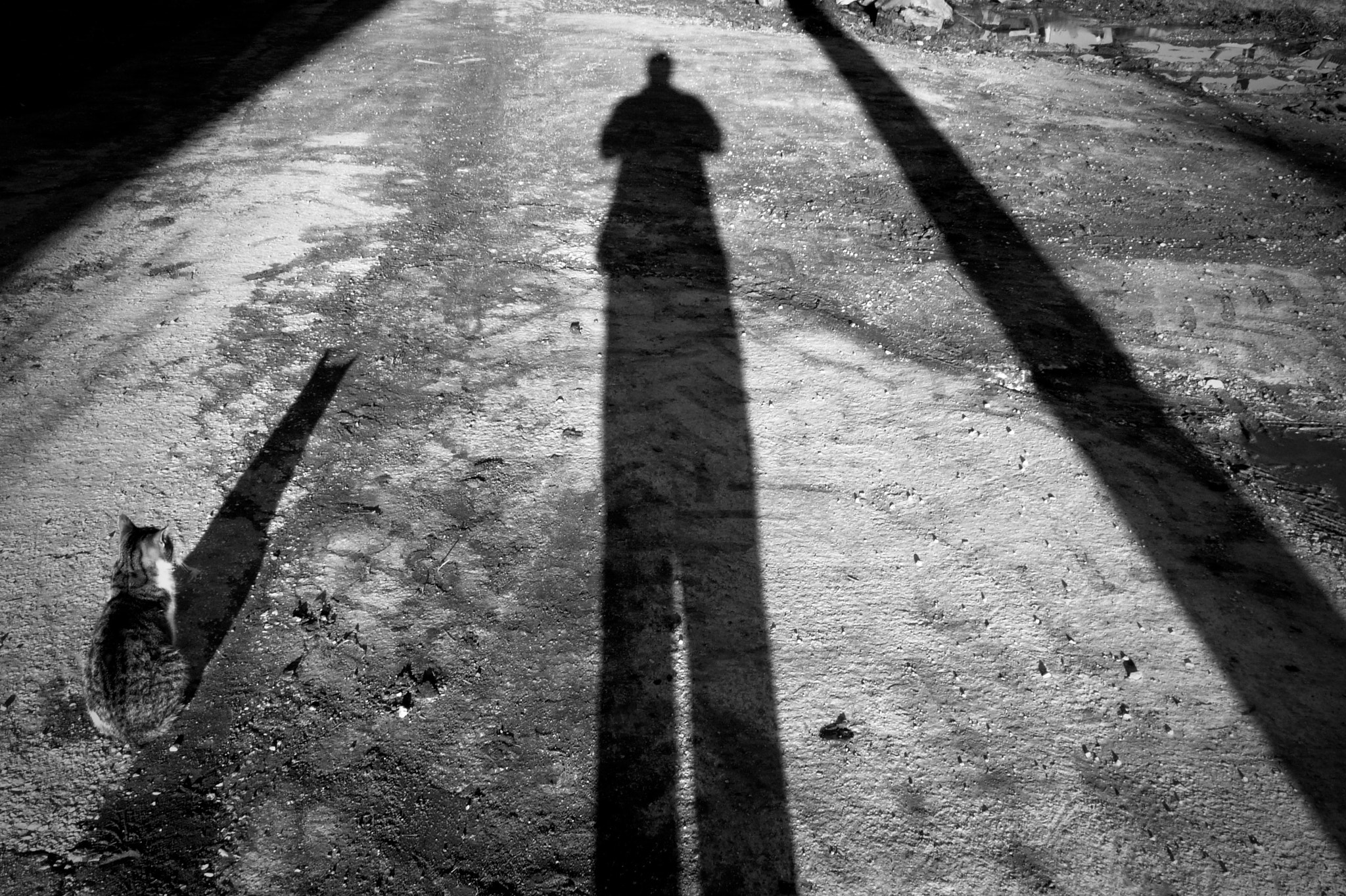 Leica D-LUX 3 sample photo. Shadows photography