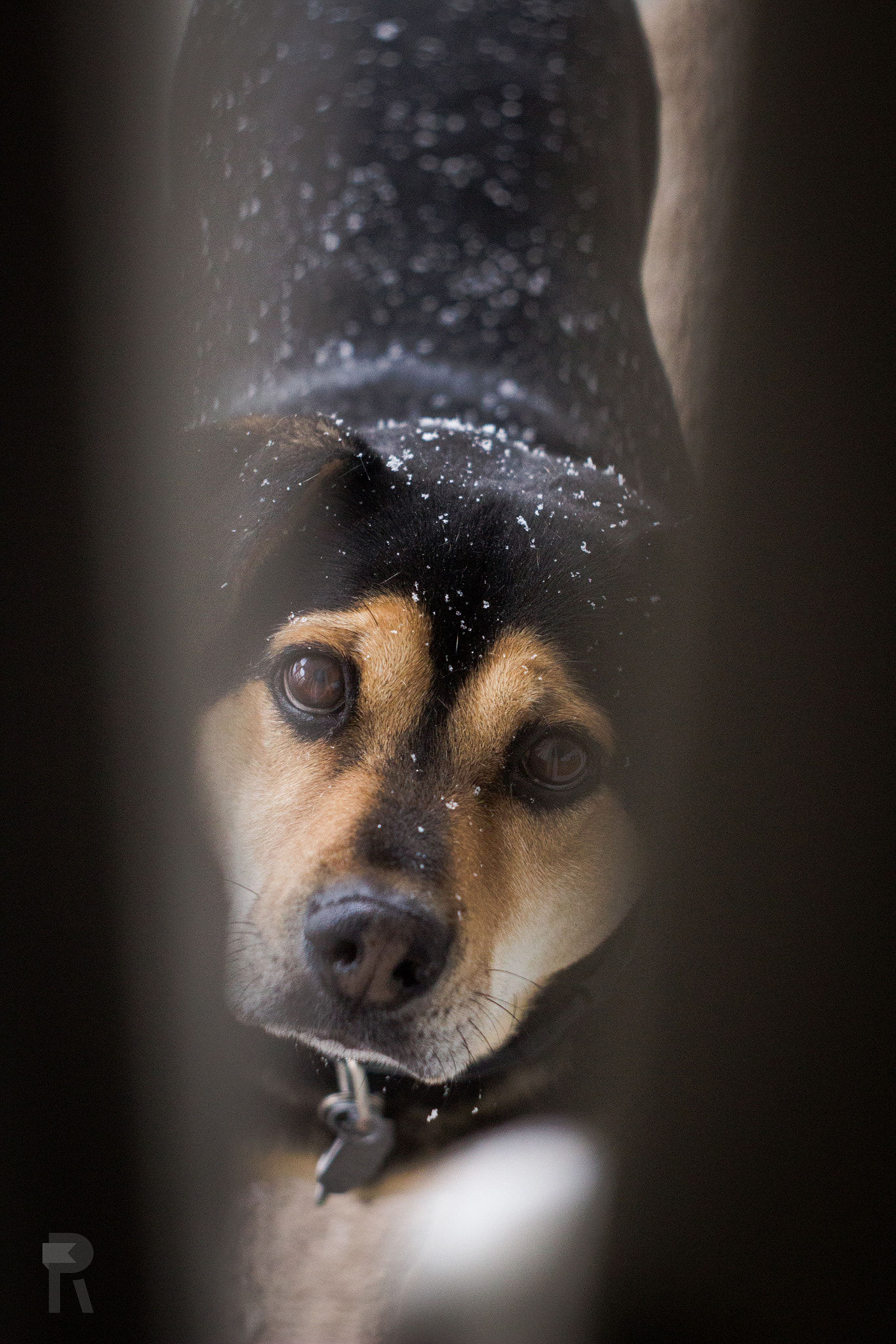 Canon EF 35-80mm f/4-5.6 sample photo. Peeking photography