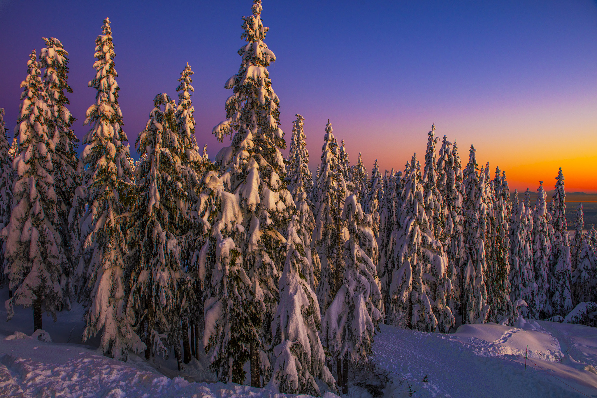 Canon EOS 5DS R sample photo. Winter trees at grouse mountain colour stacked proceessing photography