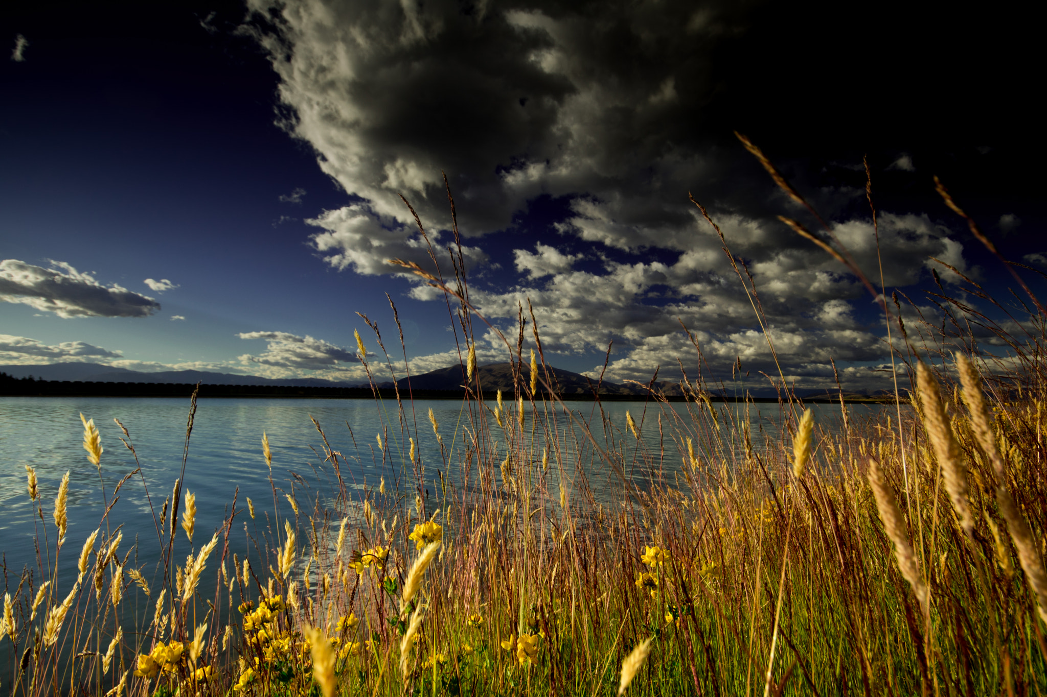 Canon EOS 80D + Sigma 10-20mm F4-5.6 EX DC HSM sample photo. Twizel canal photography