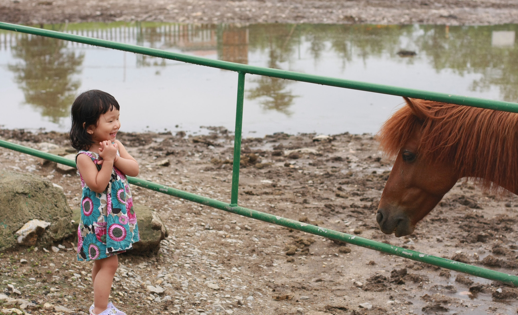 Canon EOS 40D + Canon EF 50mm F1.4 USM sample photo. Pony pony i love you~ photography