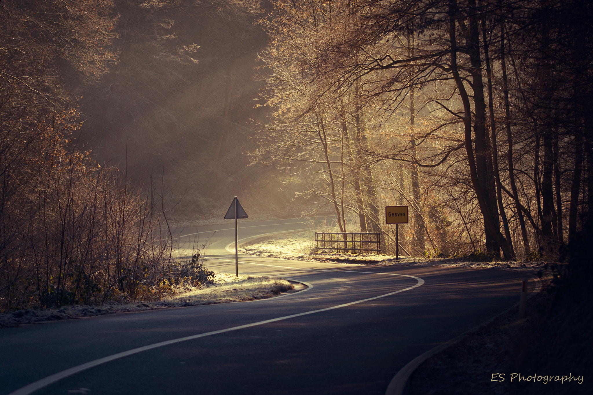 Sigma 105mm F2.8 EX DG OS HSM sample photo. Find our path photography