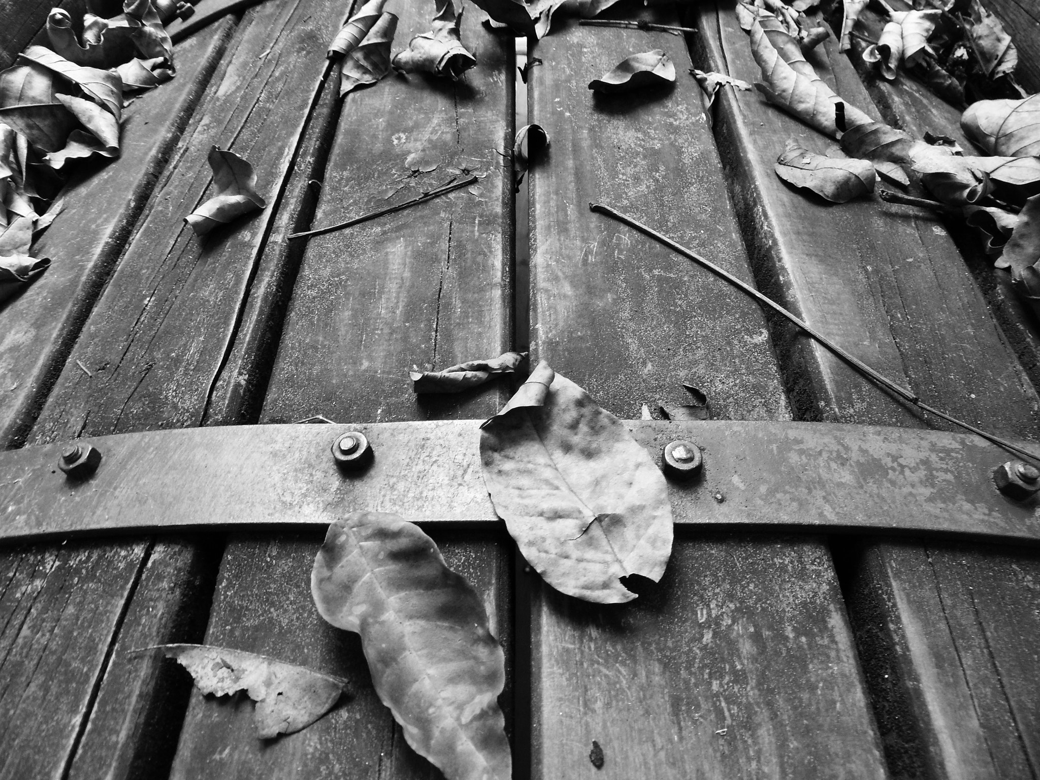 Samsung WB650 / VLUU WB650 /  WB660 sample photo. Melancolia photography
