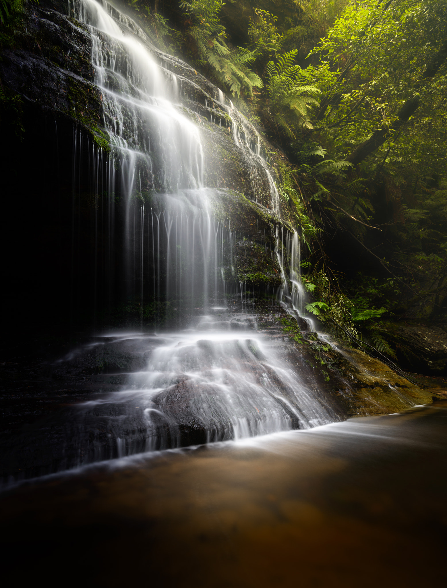 Nikon D800 sample photo. The place where the light falls photography